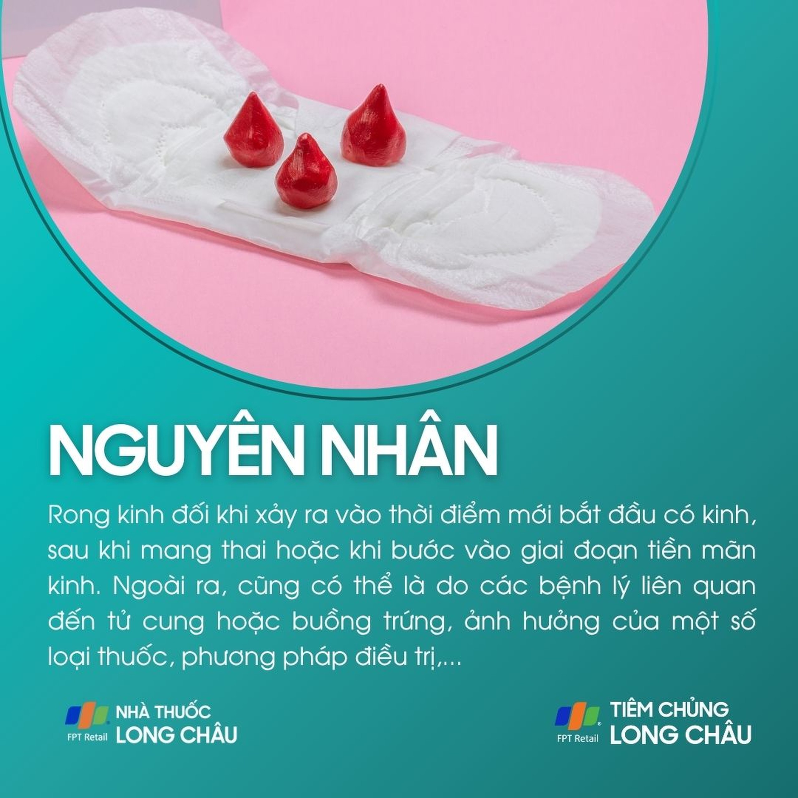 rong_kinh_3_87c9ee3fe3