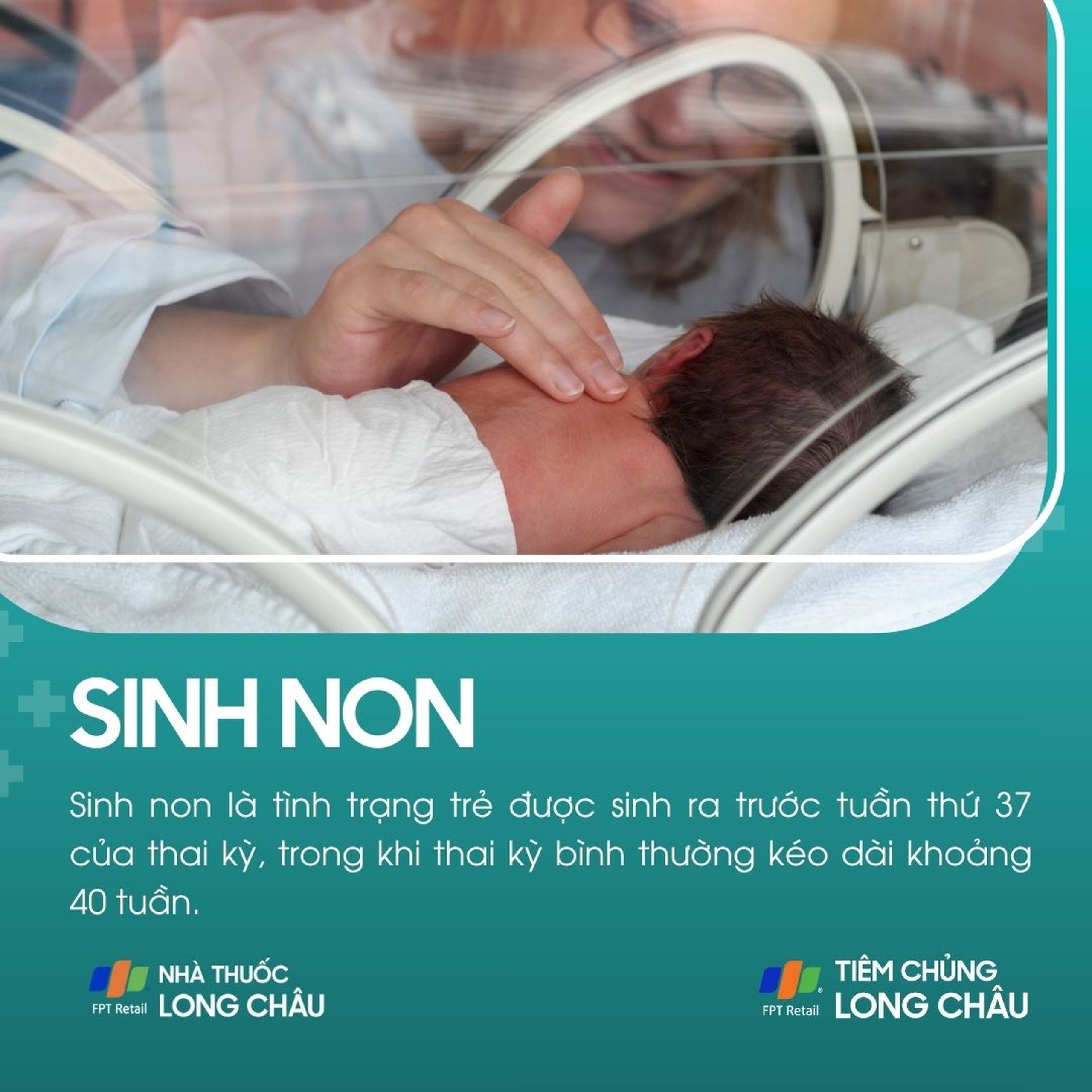 sinh_non_1_45f775774e