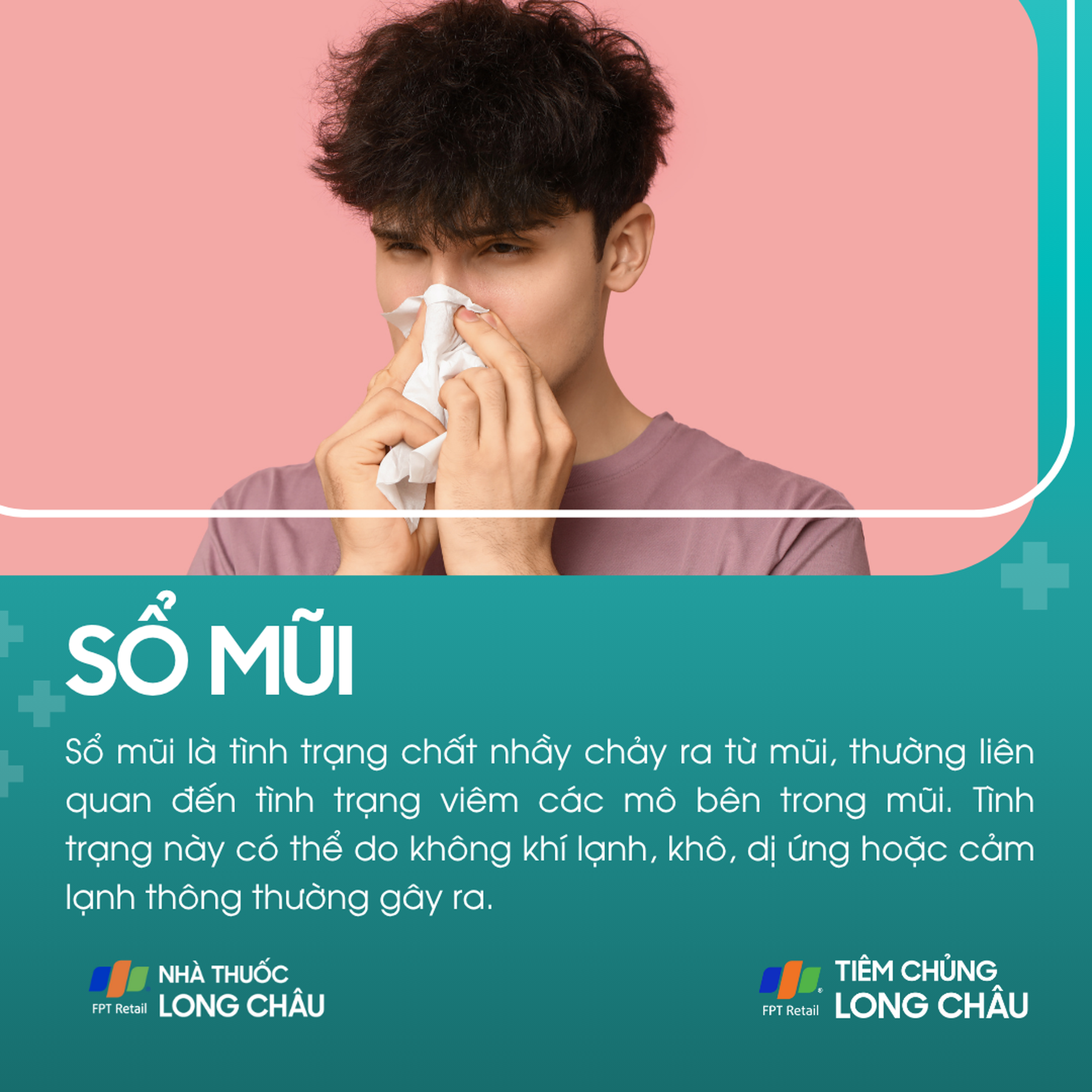 so_mui_1_f284c8f360