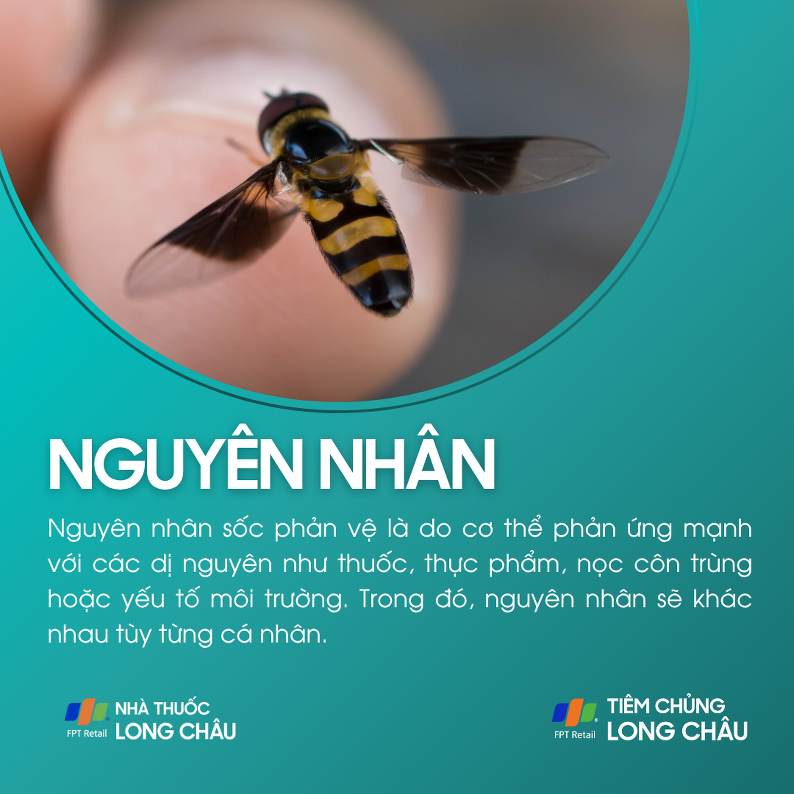 soc_phan_ve_3_b560b1bd74