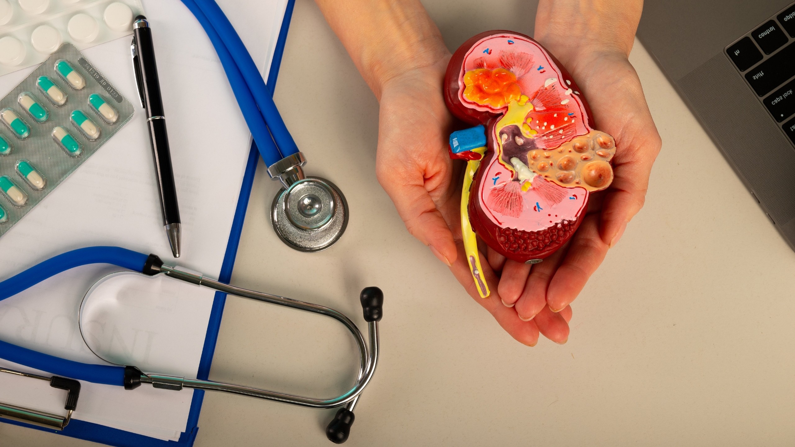 Vì sao sốt xuất huyết gây suy thận? Phòng ngừa sốt xuất huyết như thế nào?