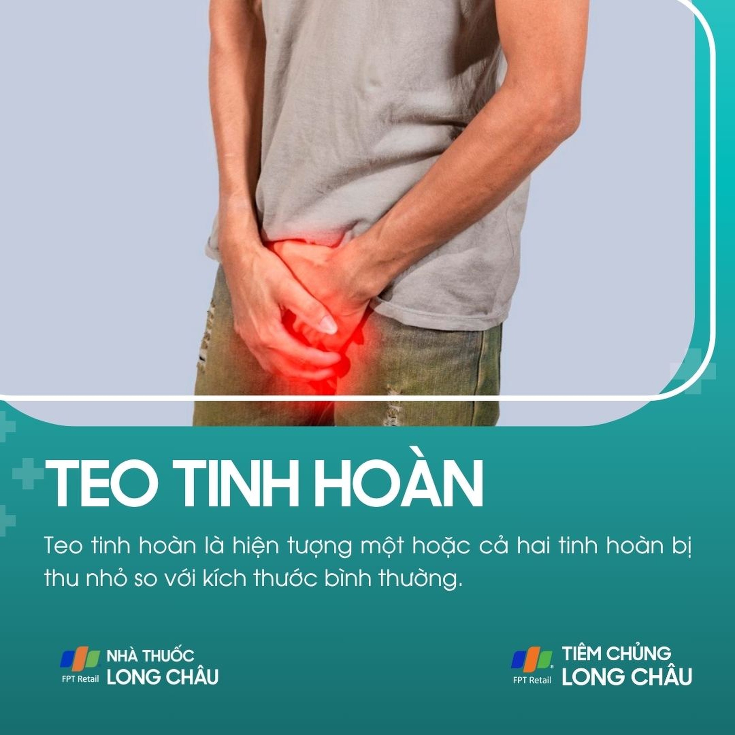 teo_tinh_hoan_1_fd6b23eede