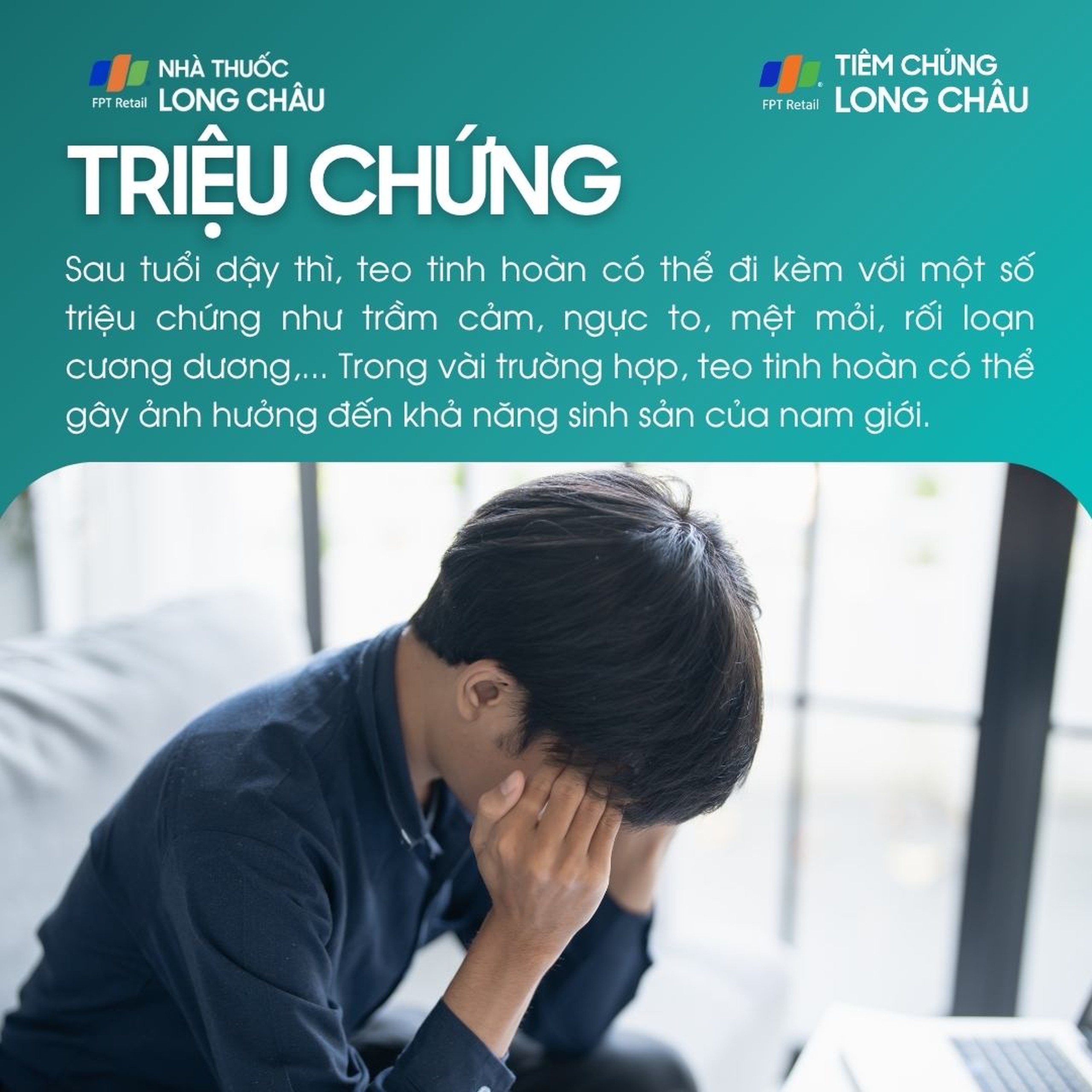 teo_tinh_hoan_2_4aa034354f
