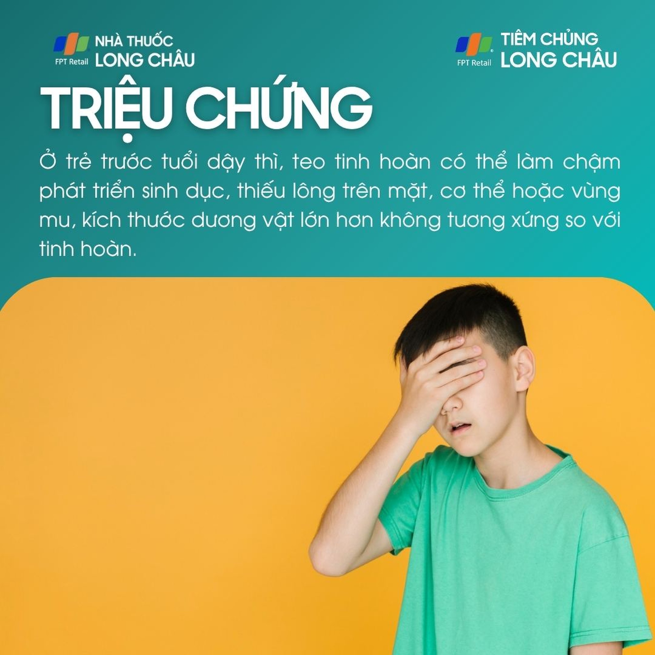 teo_tinh_hoan_2_df7aed1308