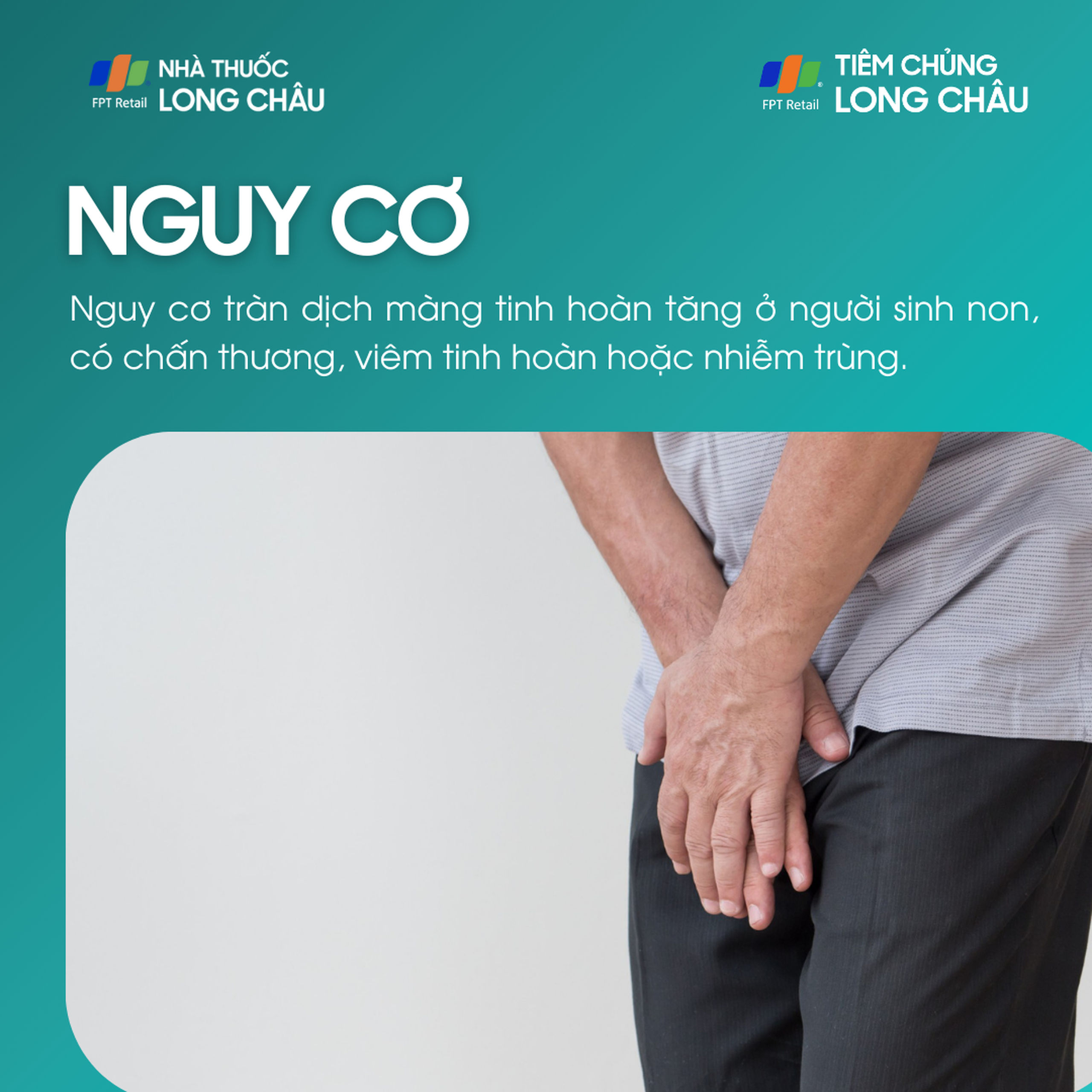 tran_dich_mang_tinh_hoan_4_816aff7c26