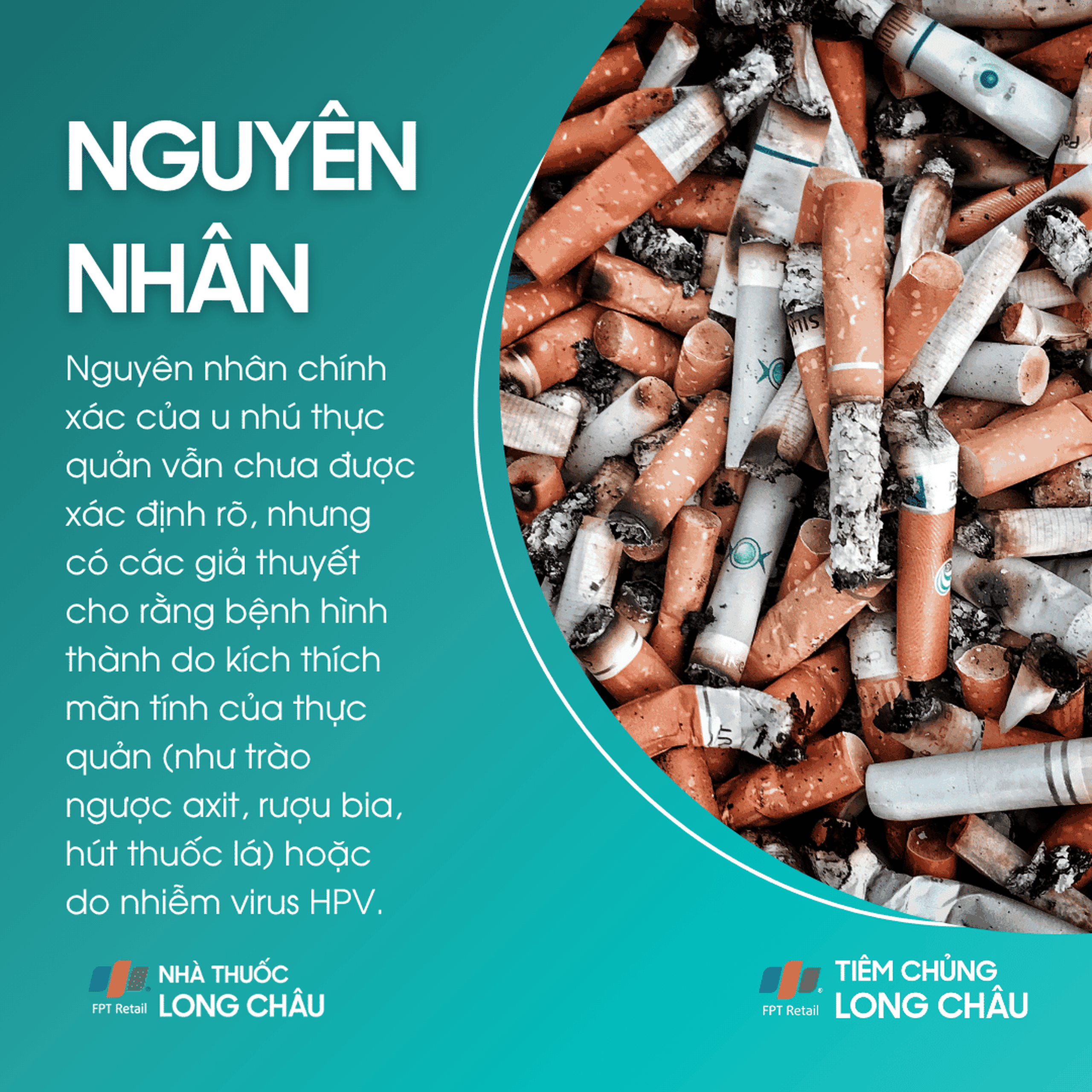 u_nhu_thuc_quan_3_11835bae9e