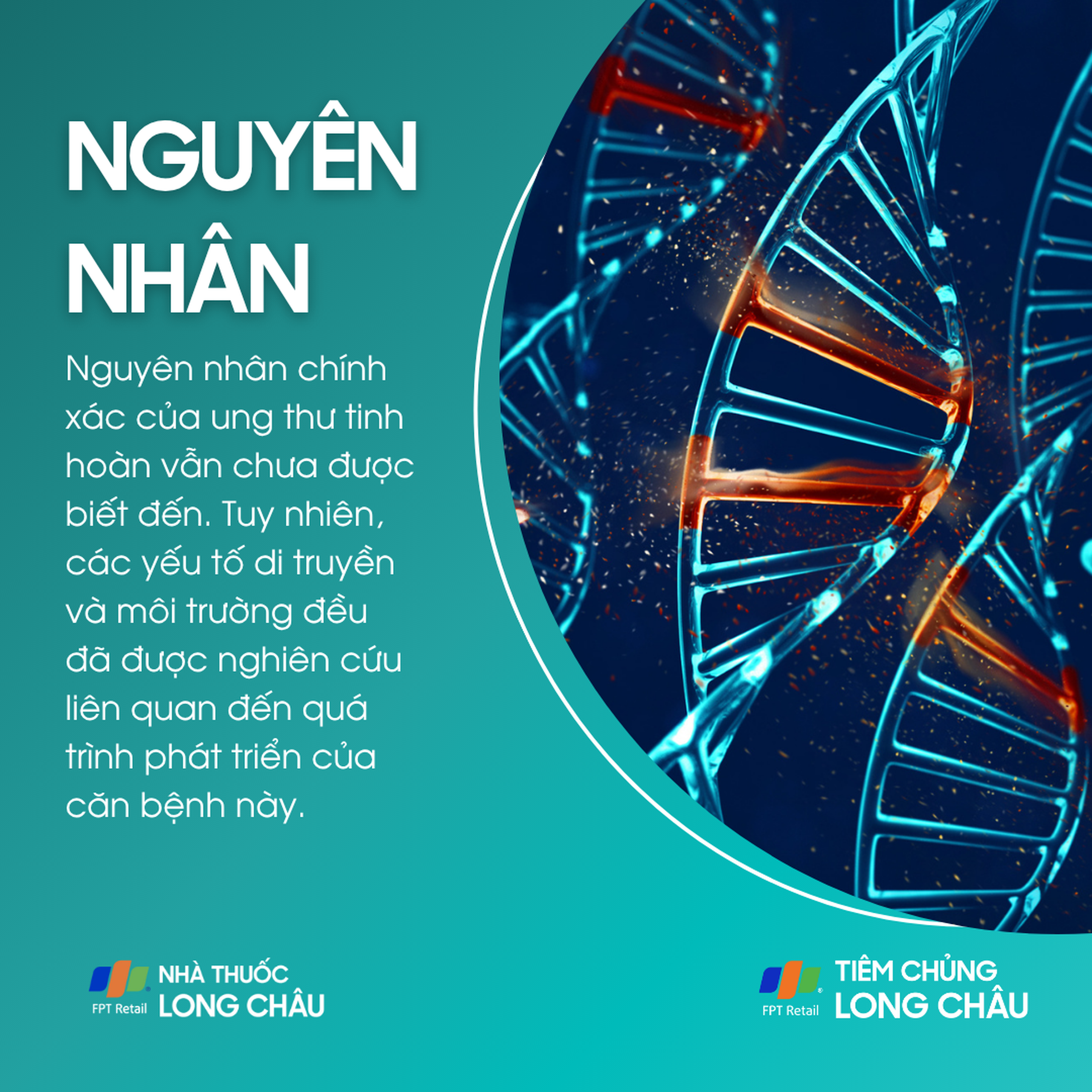 ung_thu_tinh_hoan_3_5ffffd79d8