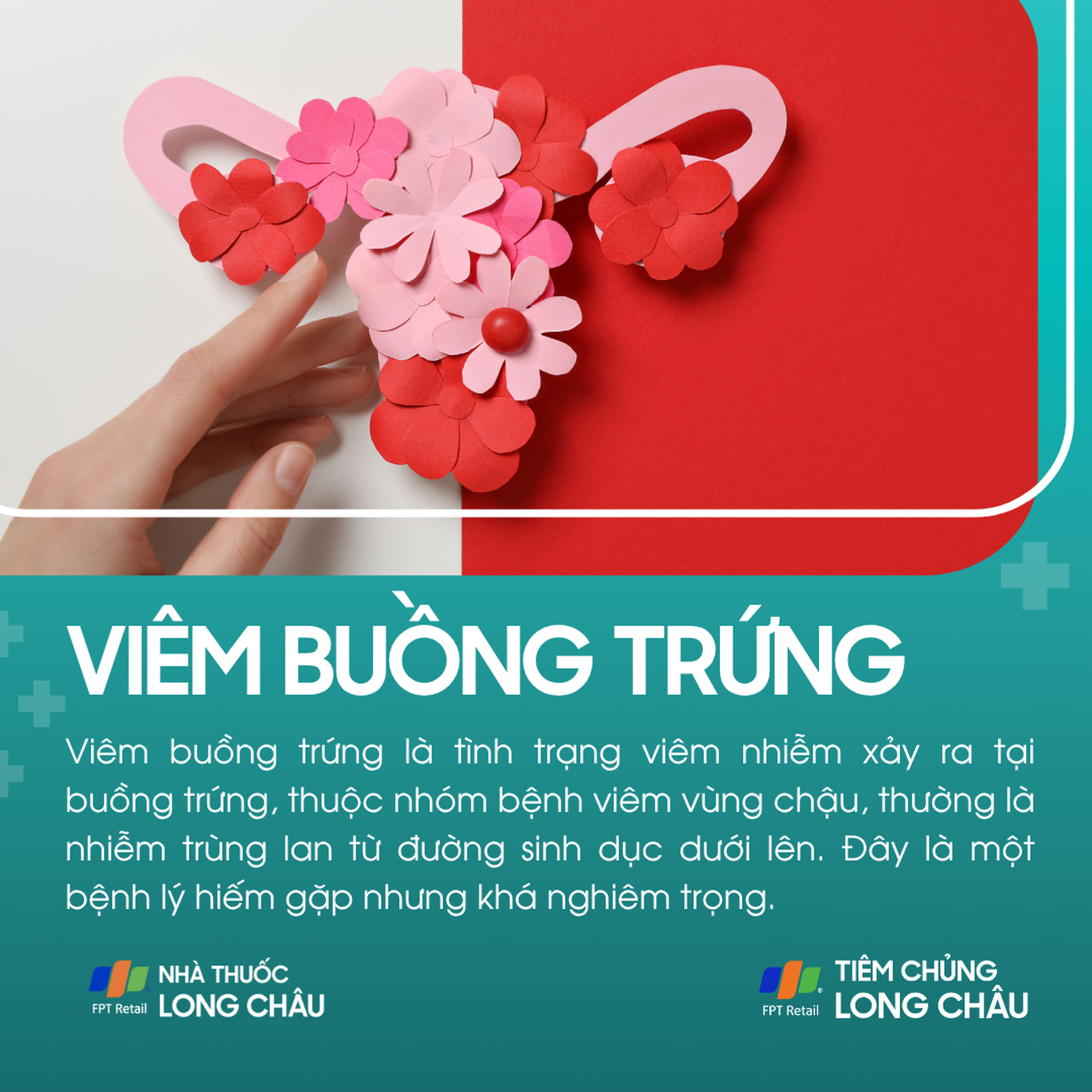 viem_buong_trung_1_9654e13dc5