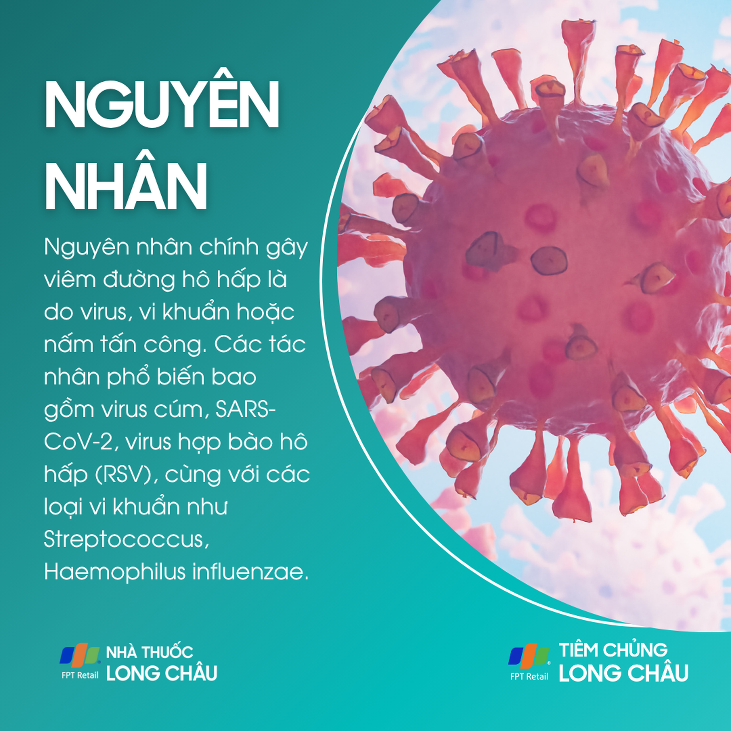 viem_duong_ho_hap_3_3c77798e45