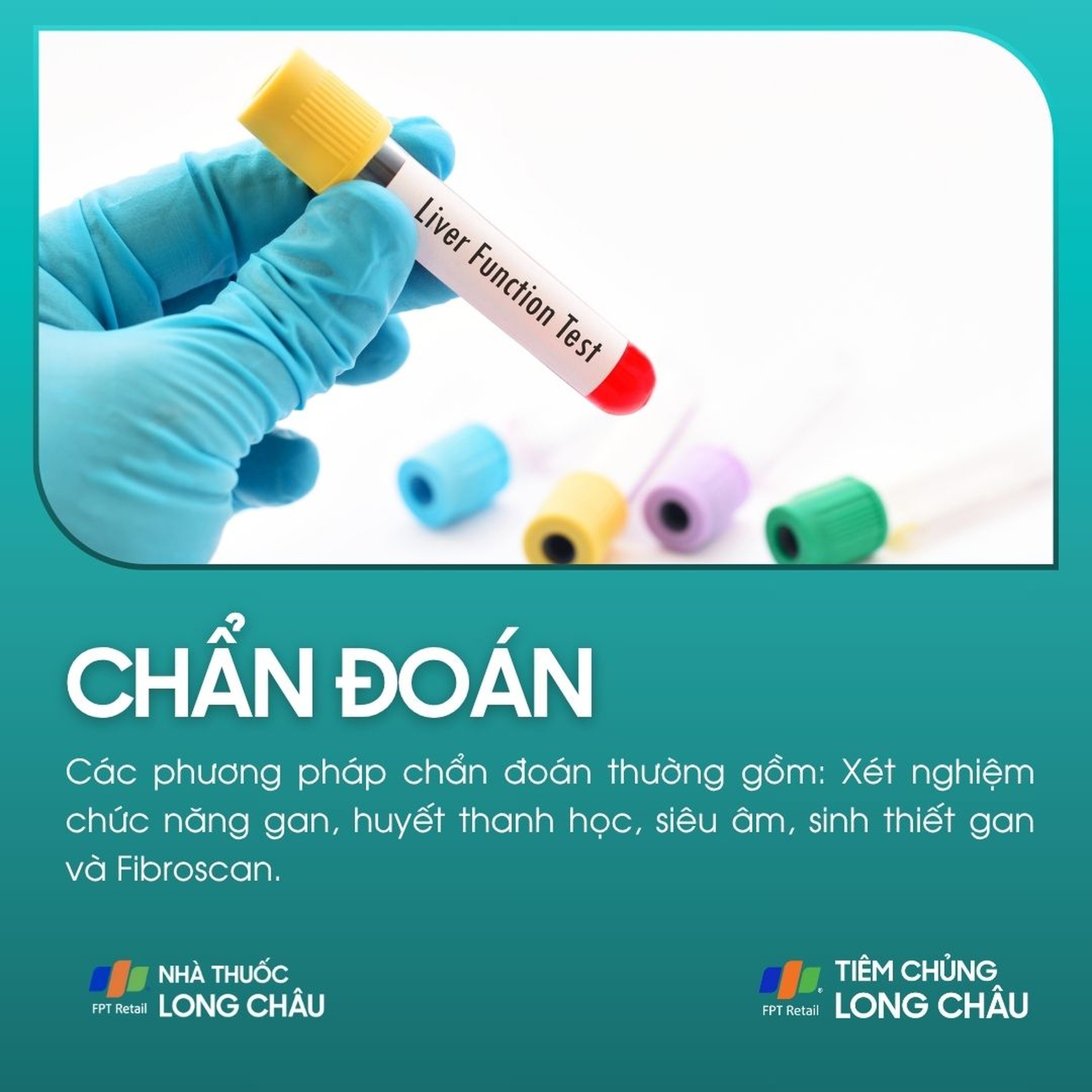 viem_gan_5_956620a67a