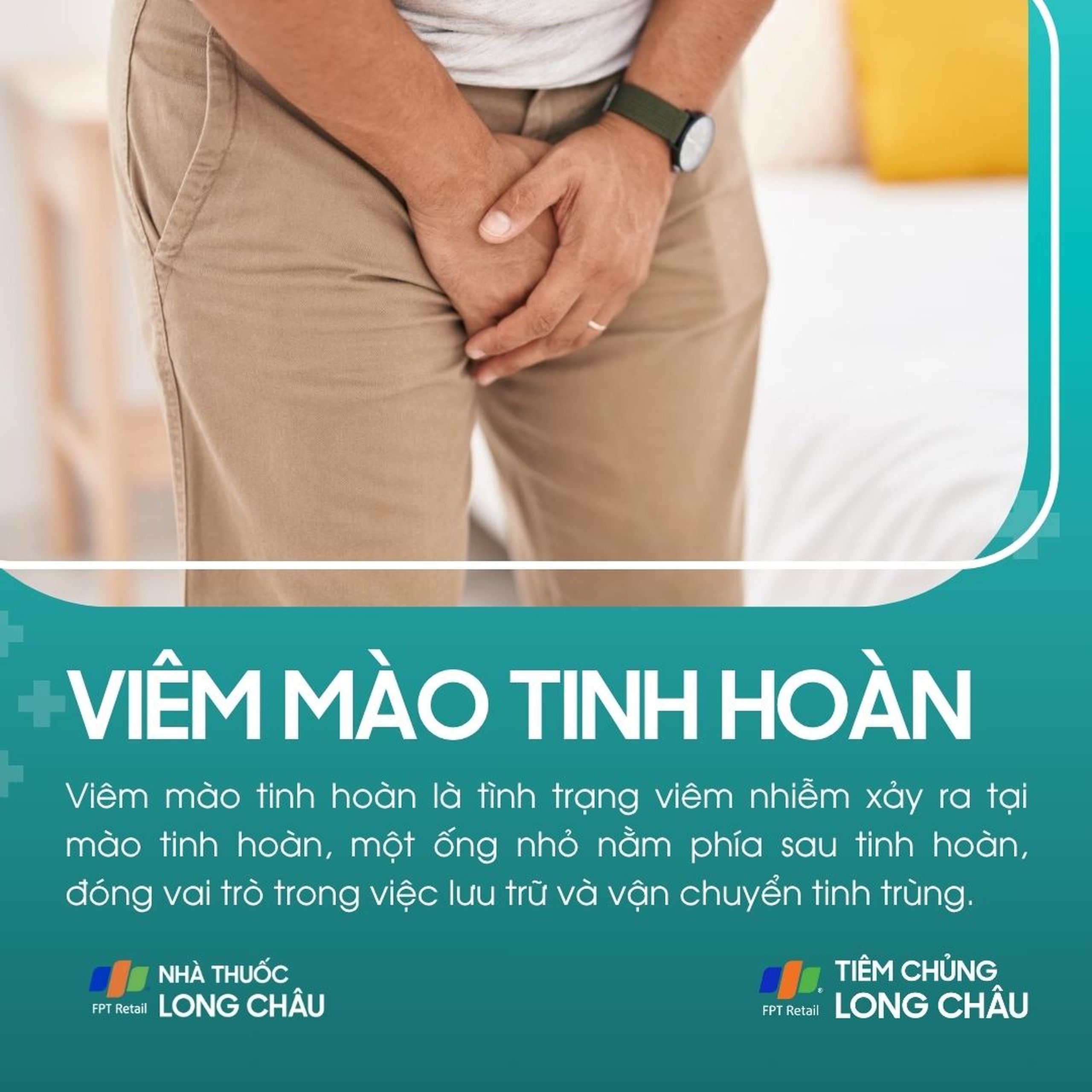 viem_mao_tinh_hoan_1_d6a58f8ab1