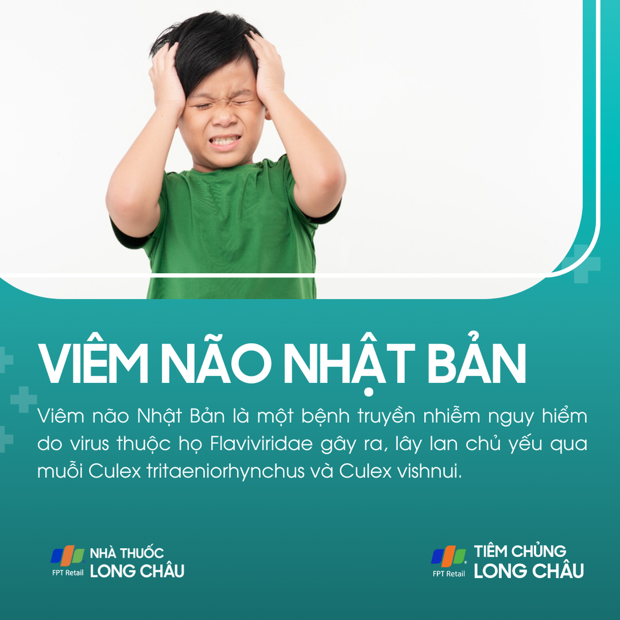 viem_nao_nhat_ban_1_cd73068adb