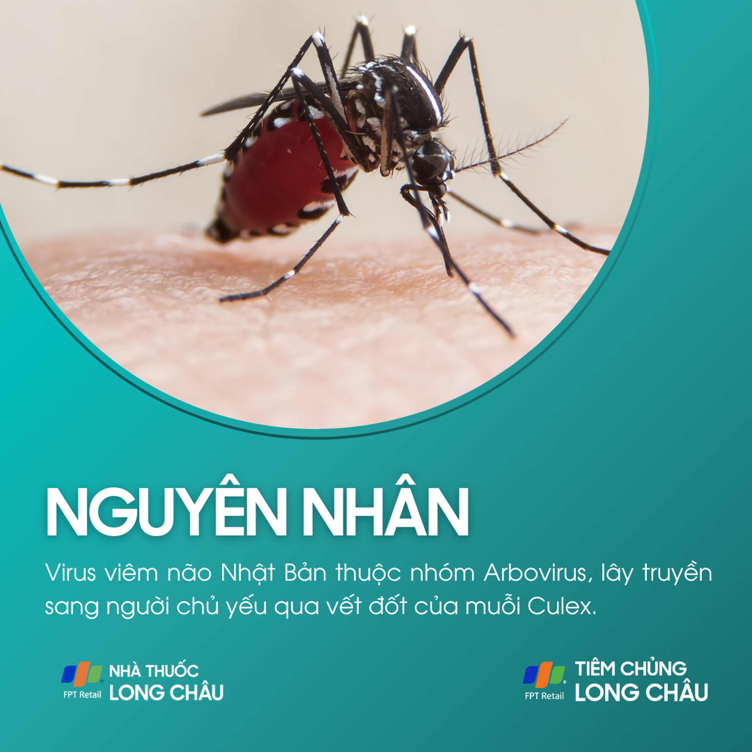 viem_nao_nhat_ban_3_9f7b3a350f