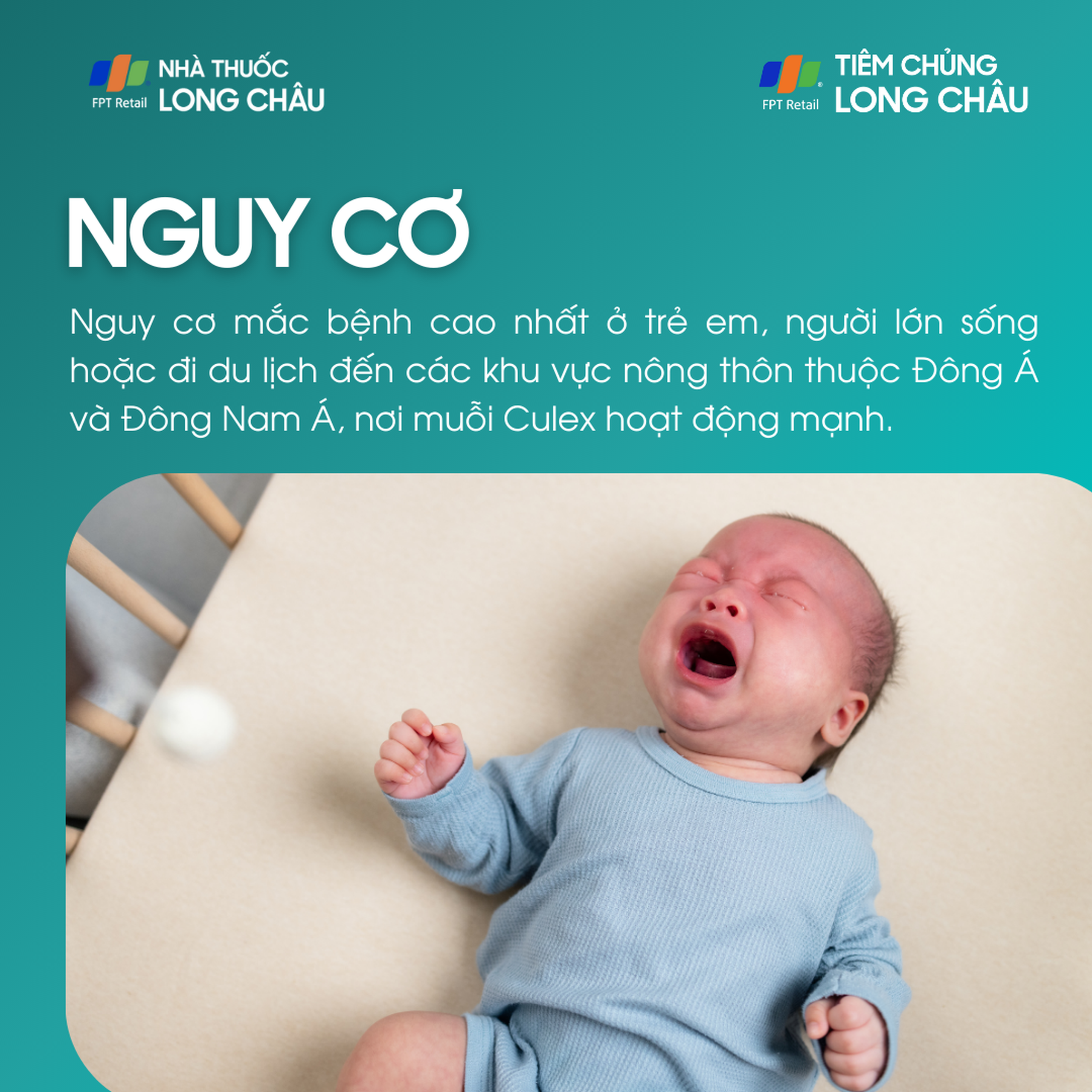 viem_nao_nhat_ban_4_256d41b33e