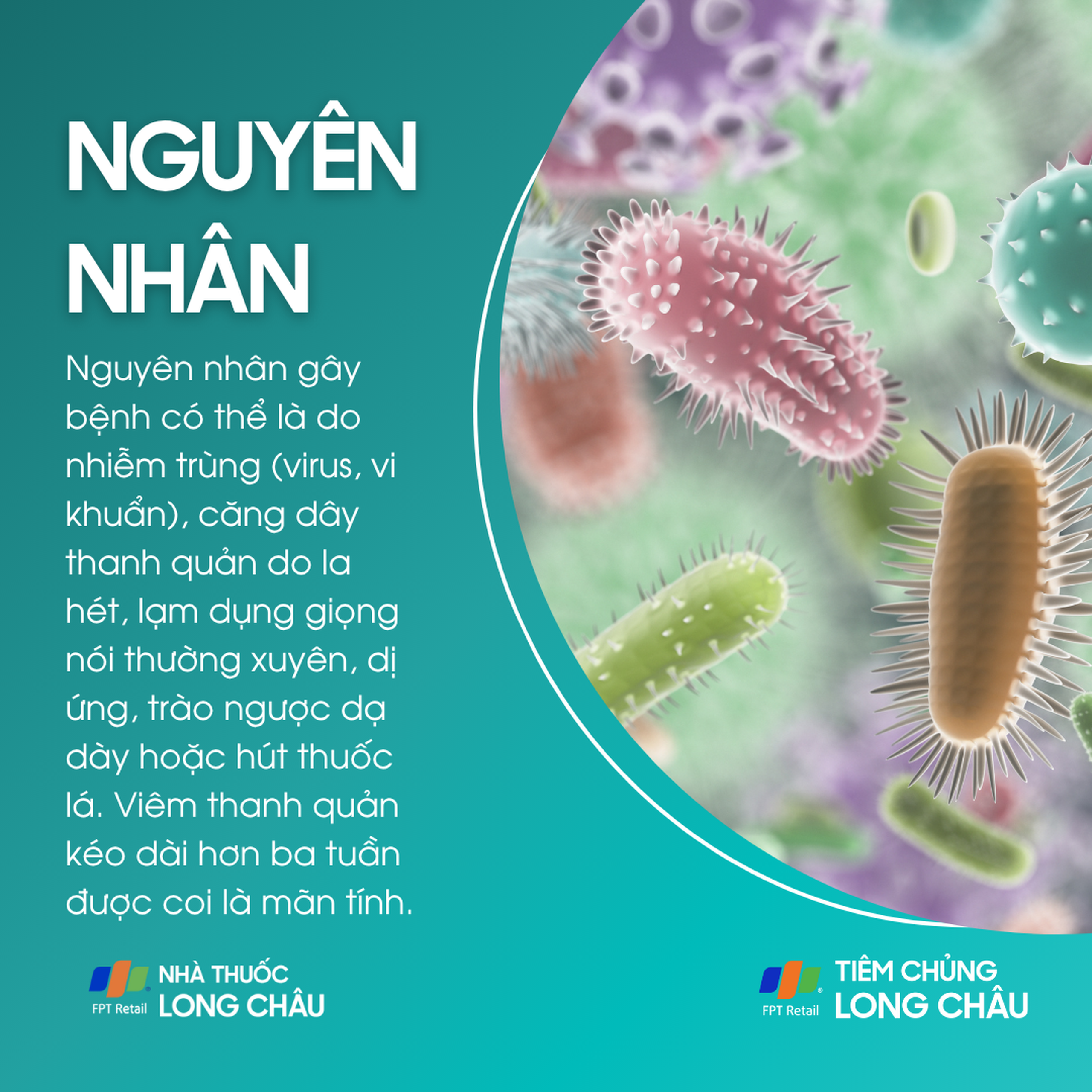 viem_thanh_quan_3_fd0213d090