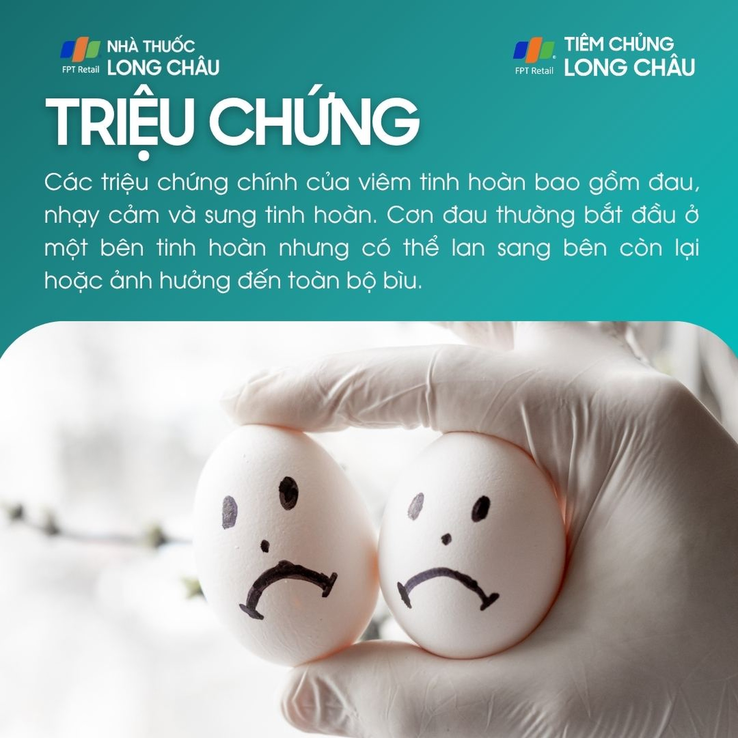 viem_tinh_hoan_2_e116c6f633
