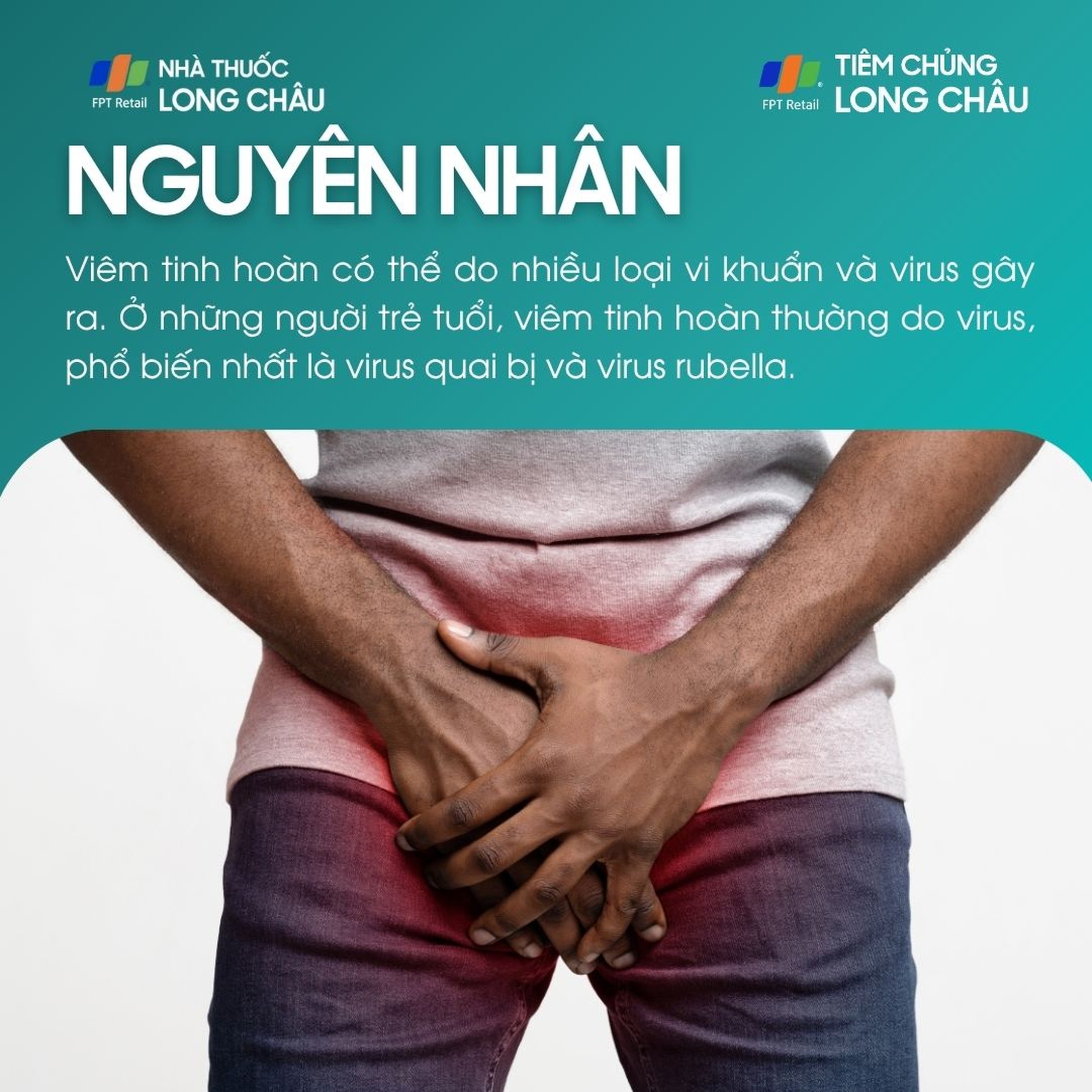 viem_tinh_hoan_3_d7ce2efbac
