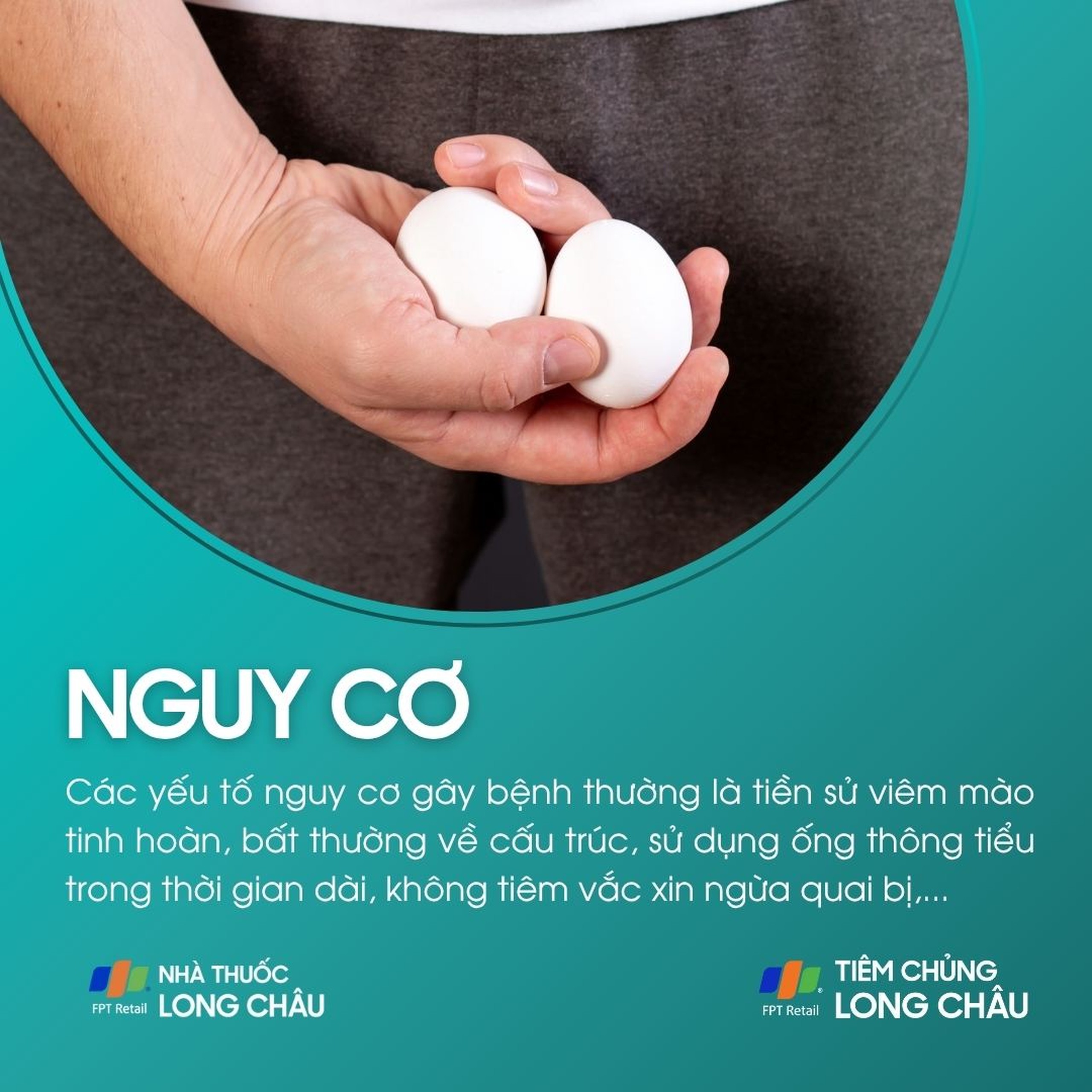 viem_tinh_hoan_4_a269ea5ad9