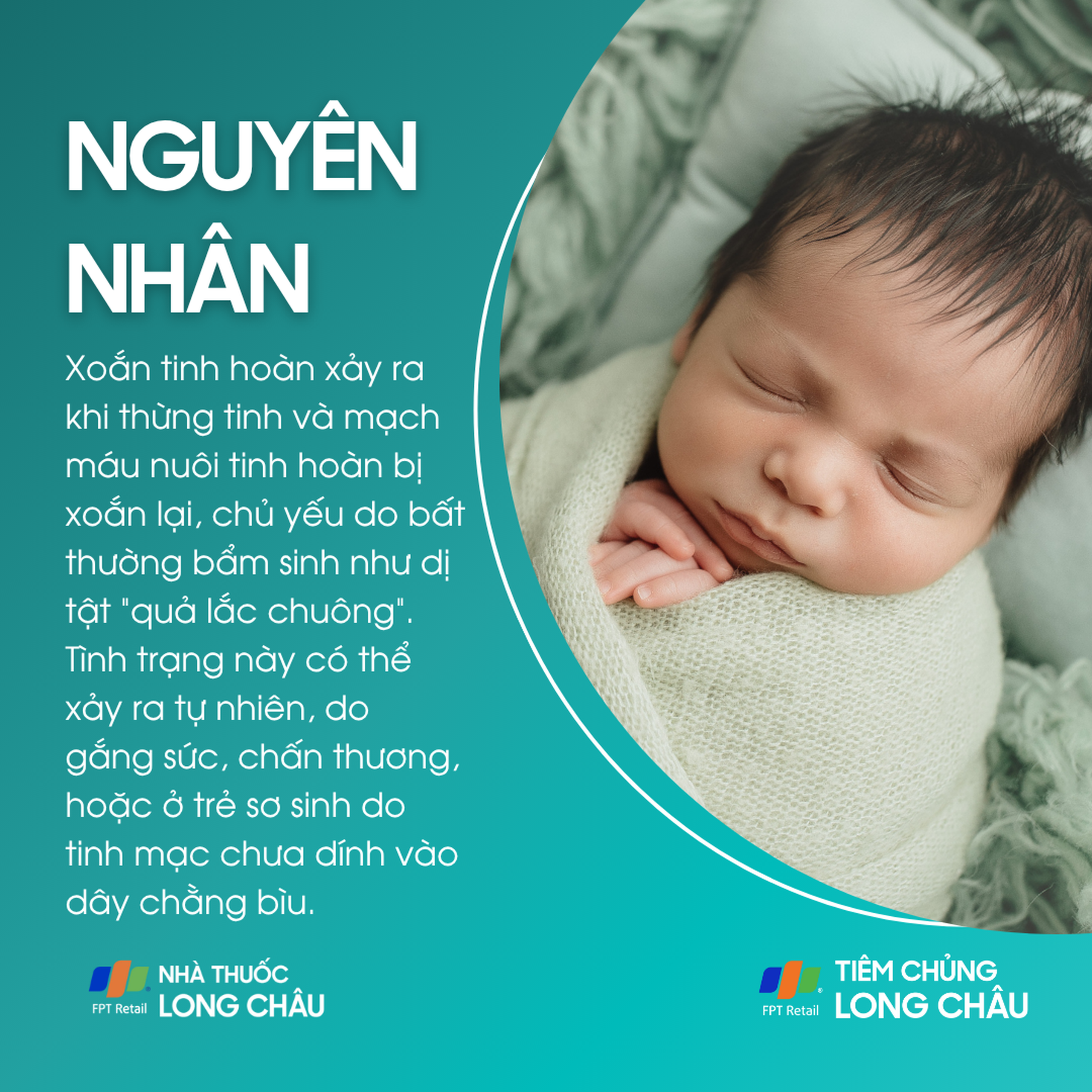 xoan_tinh_hoan_3_9b6ca50355