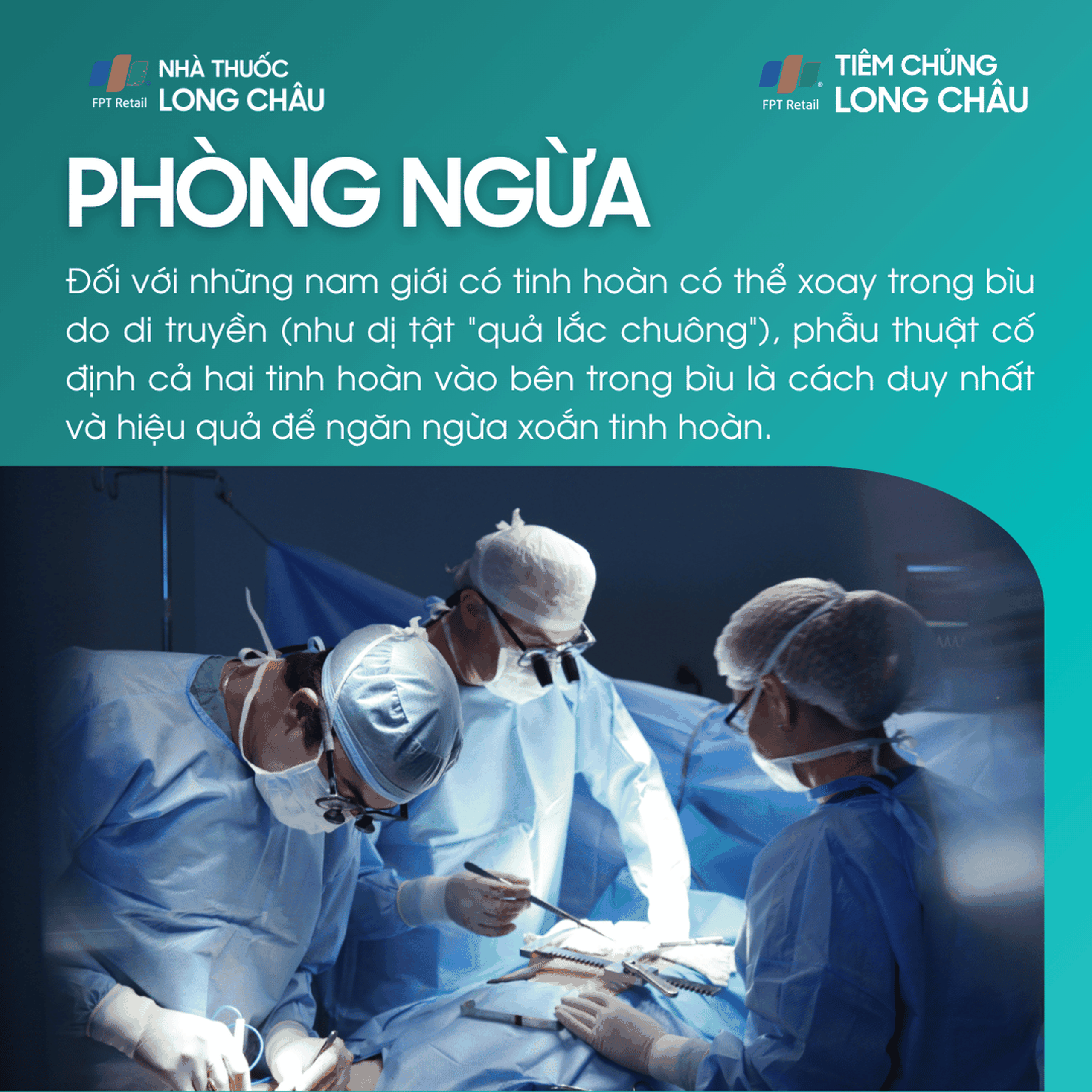 xoan_tinh_hoan_7_95c8495339