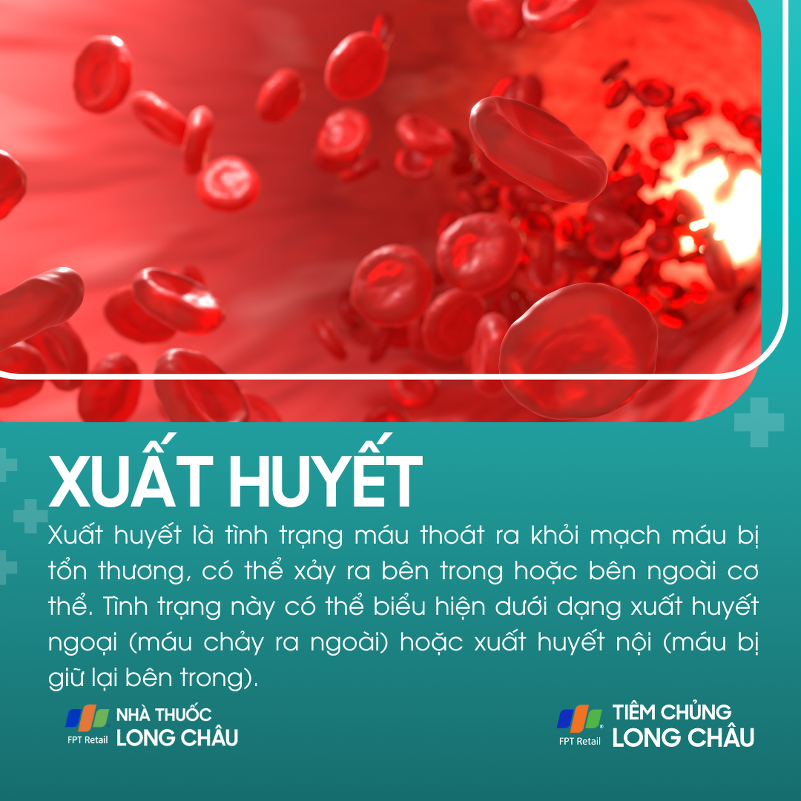 xuat_huyet_1_0decab5c64