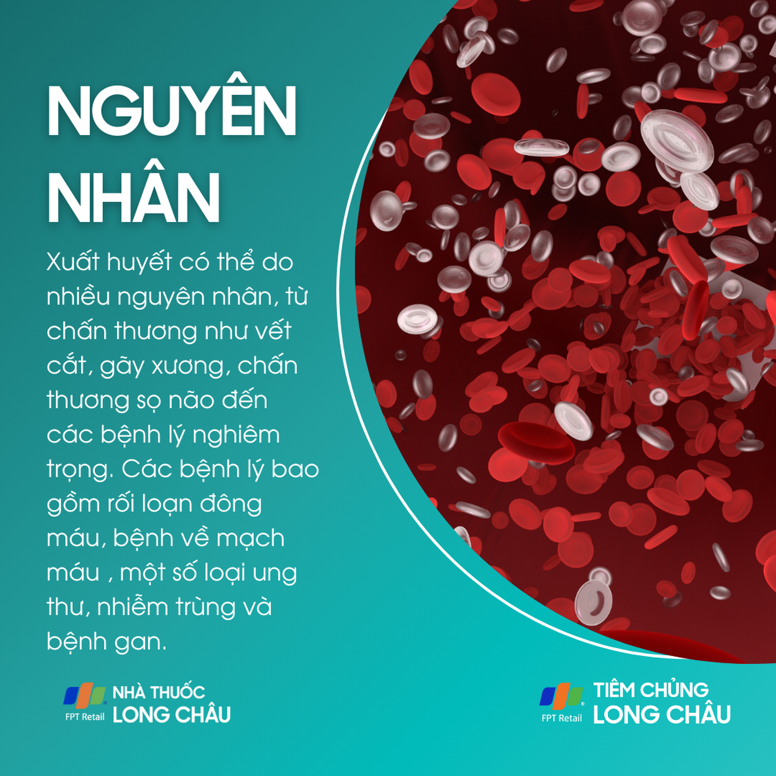 xuat_huyet_3_0ec036c01f