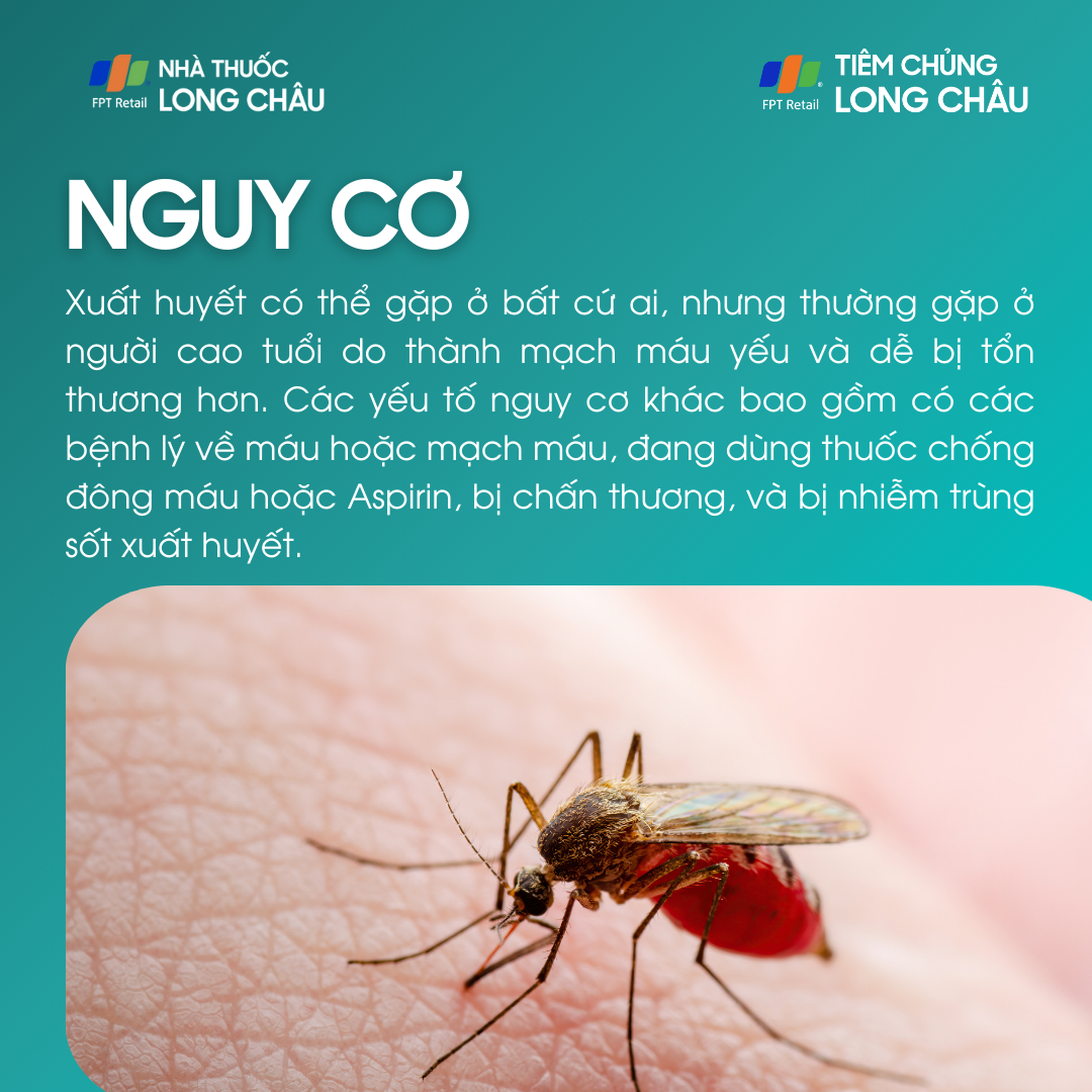 xuat_huyet_4_02400a36bf