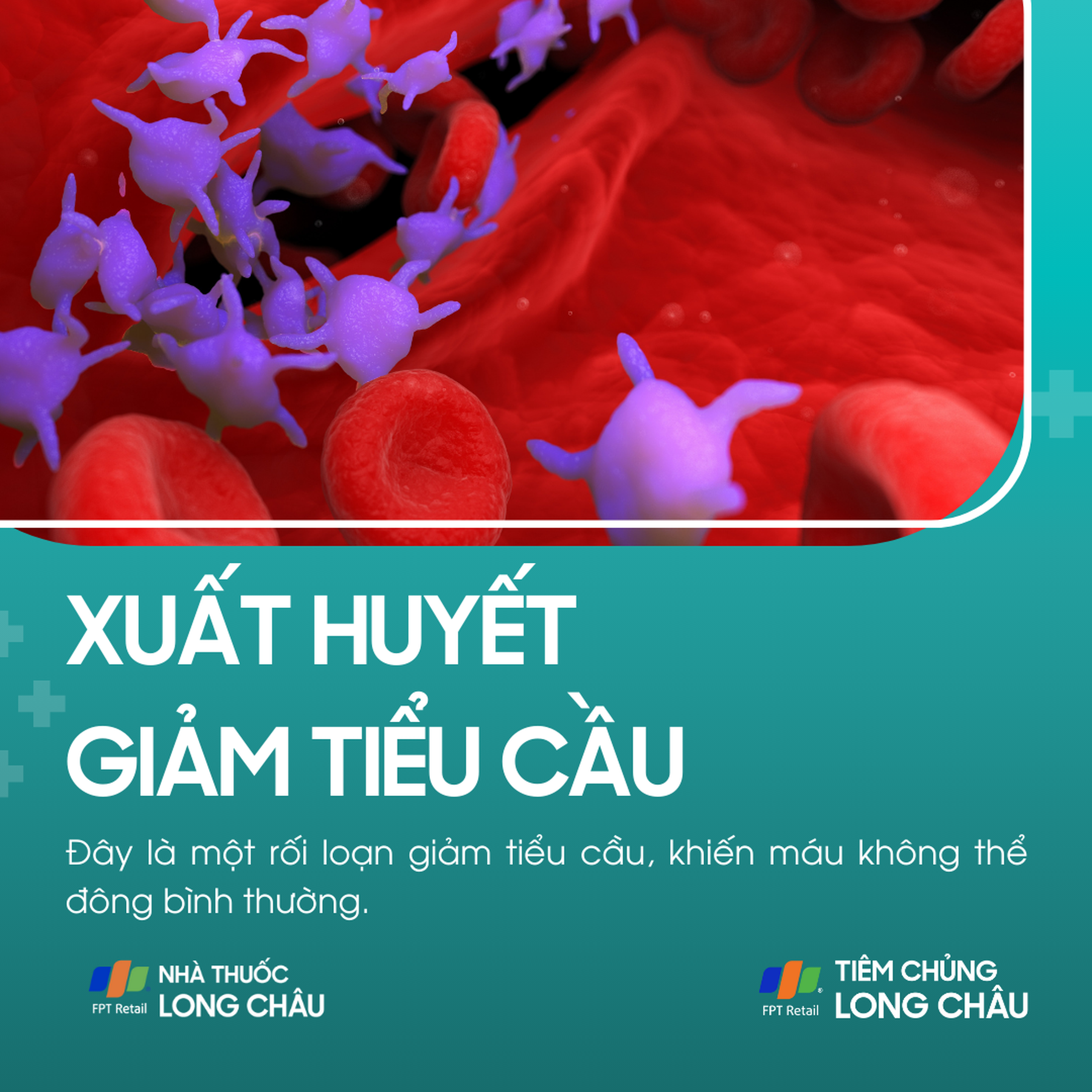 xuat_huyet_giam_tieu_cau_1_1cbde5099b