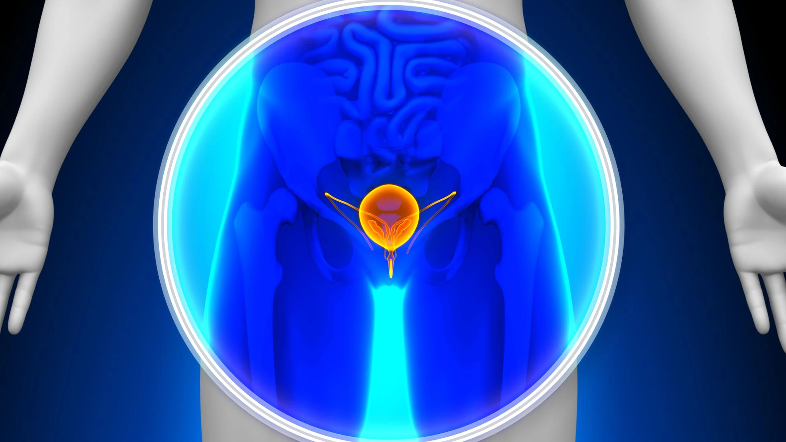 bang_quang_than_kinh_9f27b990de