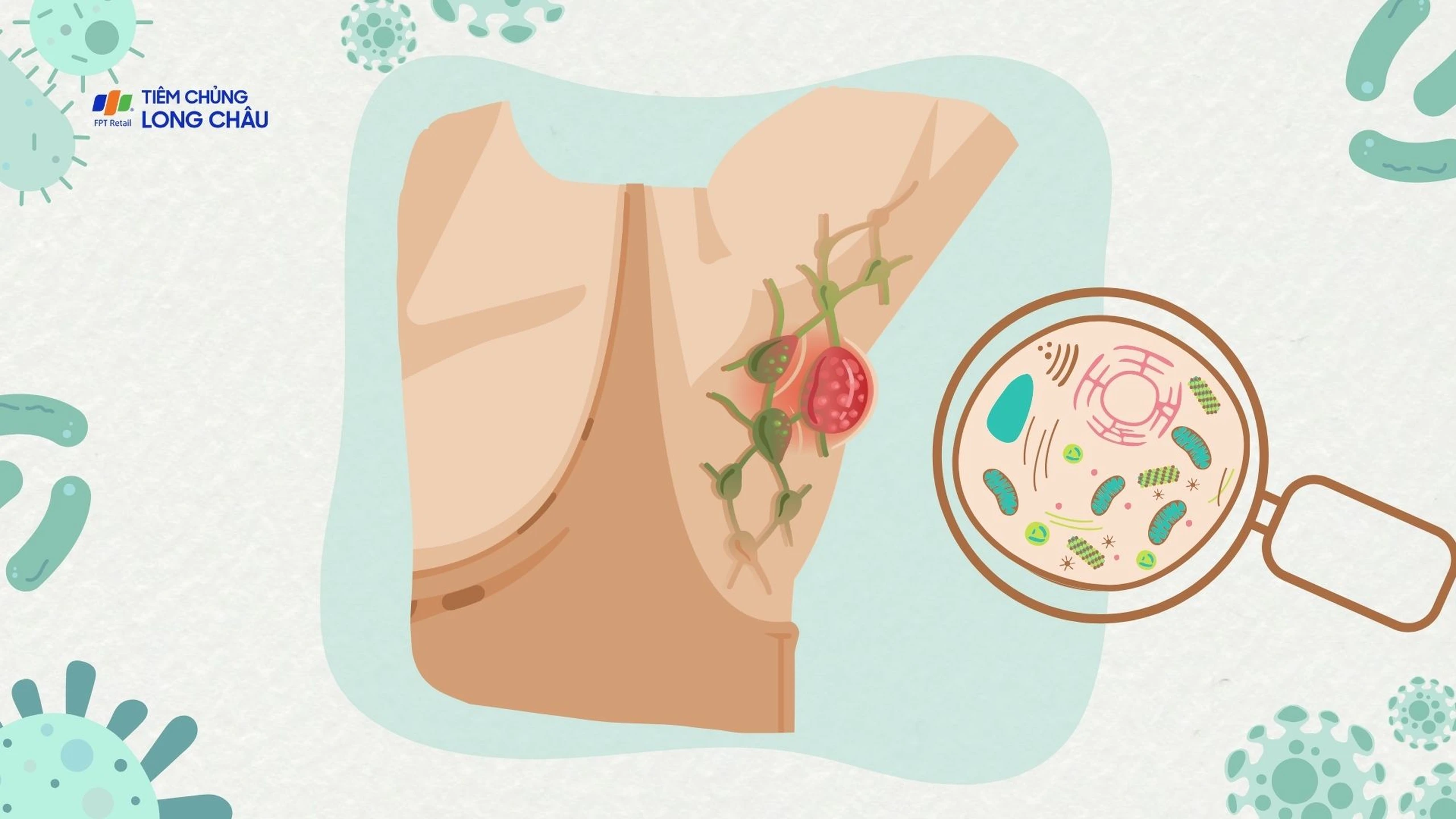 benh_a_z_ap_xe_nach_d05cd4458e