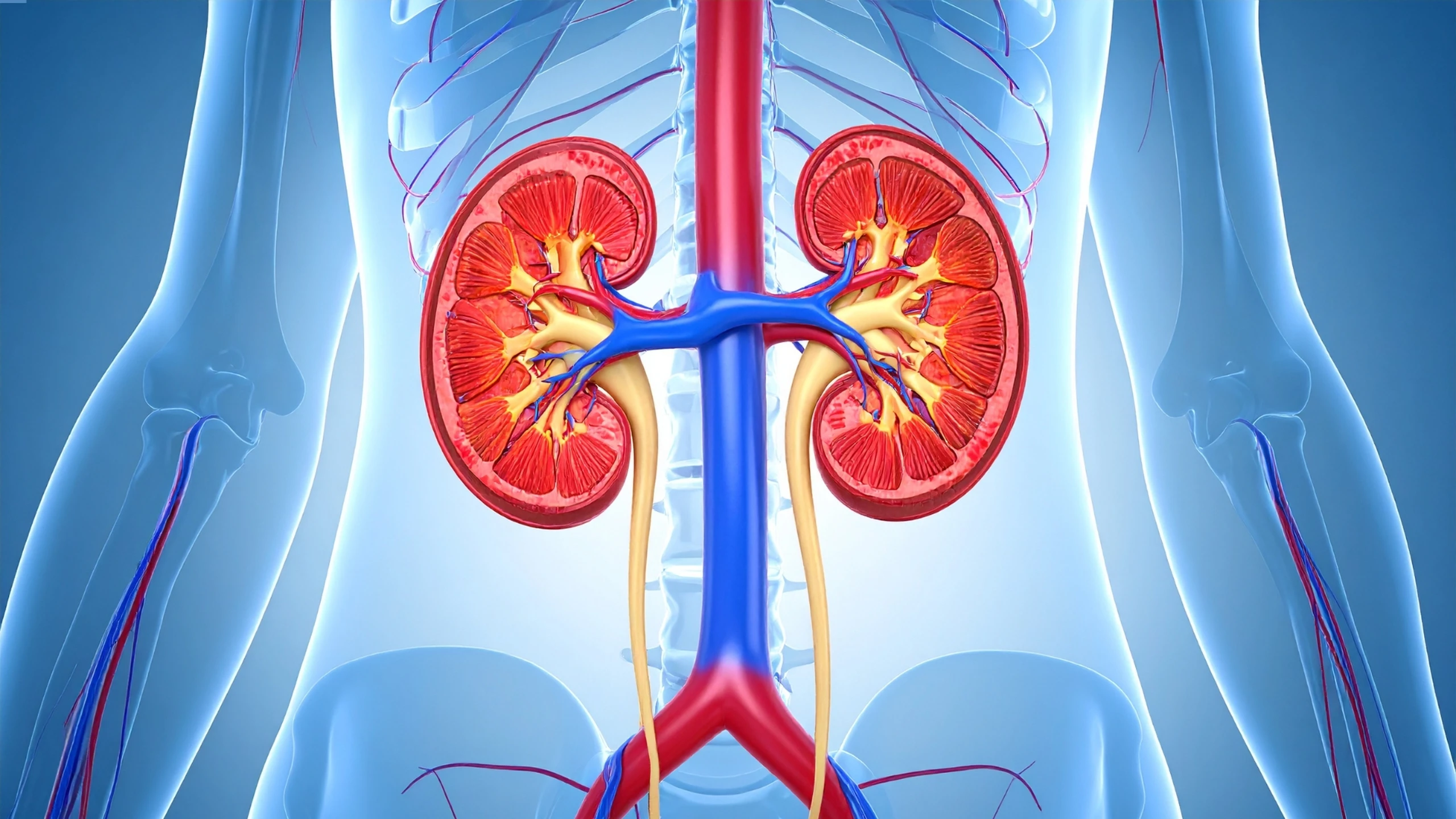 benh_a_z_hep_nieu_quan_a8b5e3d31c