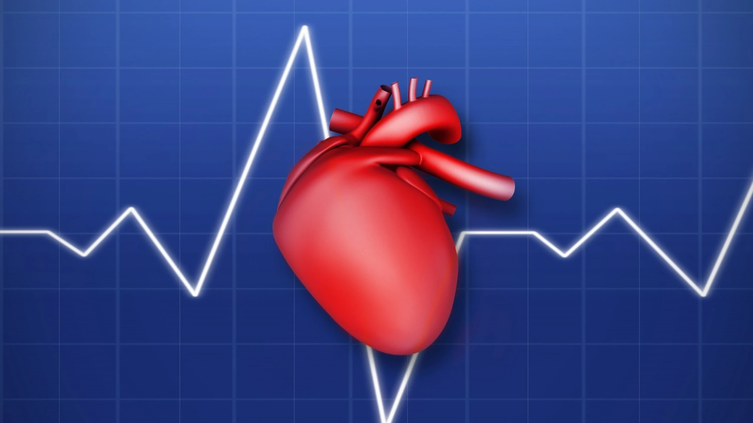 benh_a_z_hep_van_tim_d74f37dd06