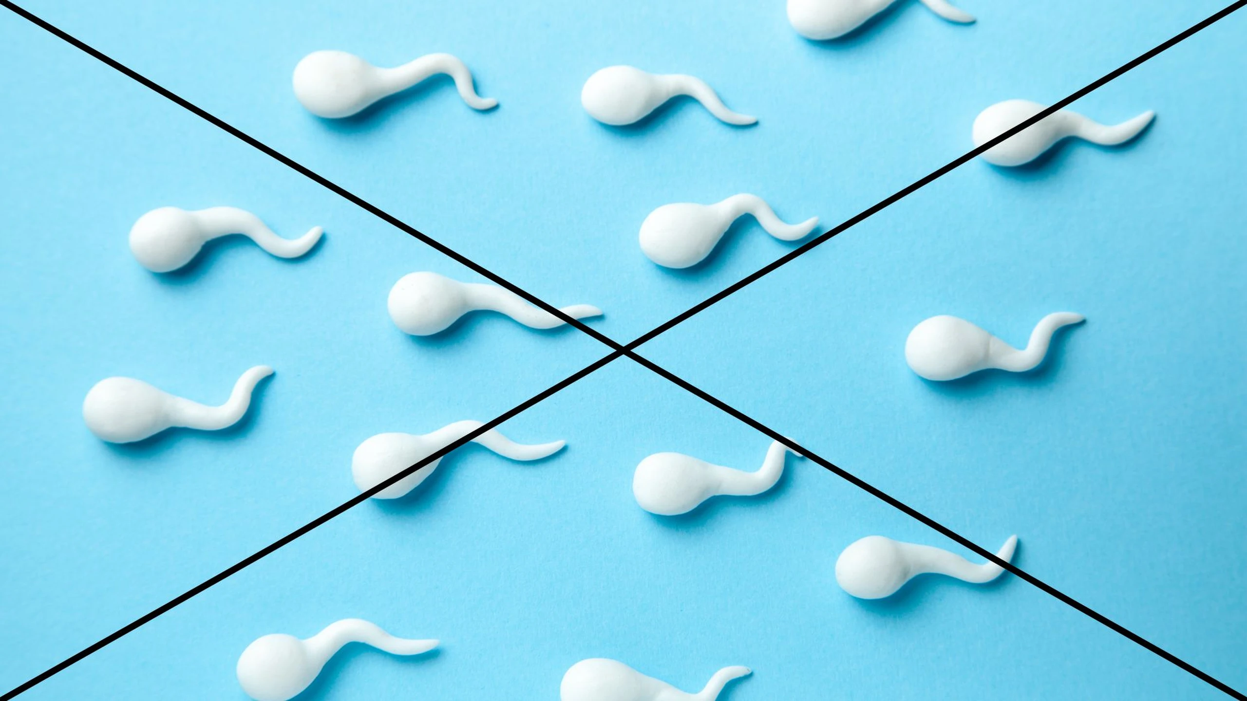 benh_a_z_khong_co_tinh_trung_f934b38454