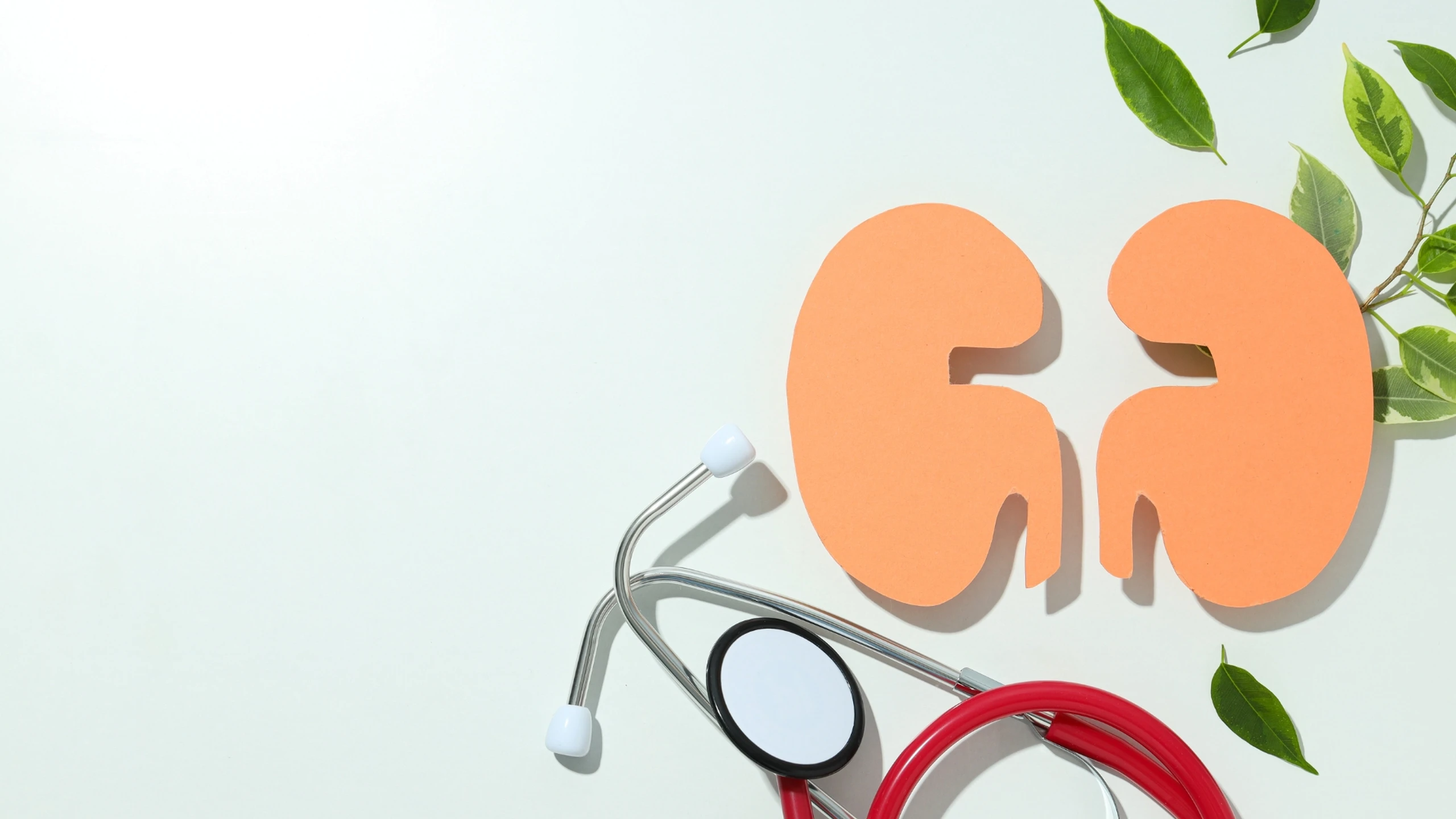 benh_a_z_suy_than_cap_0_8cb27c7dad