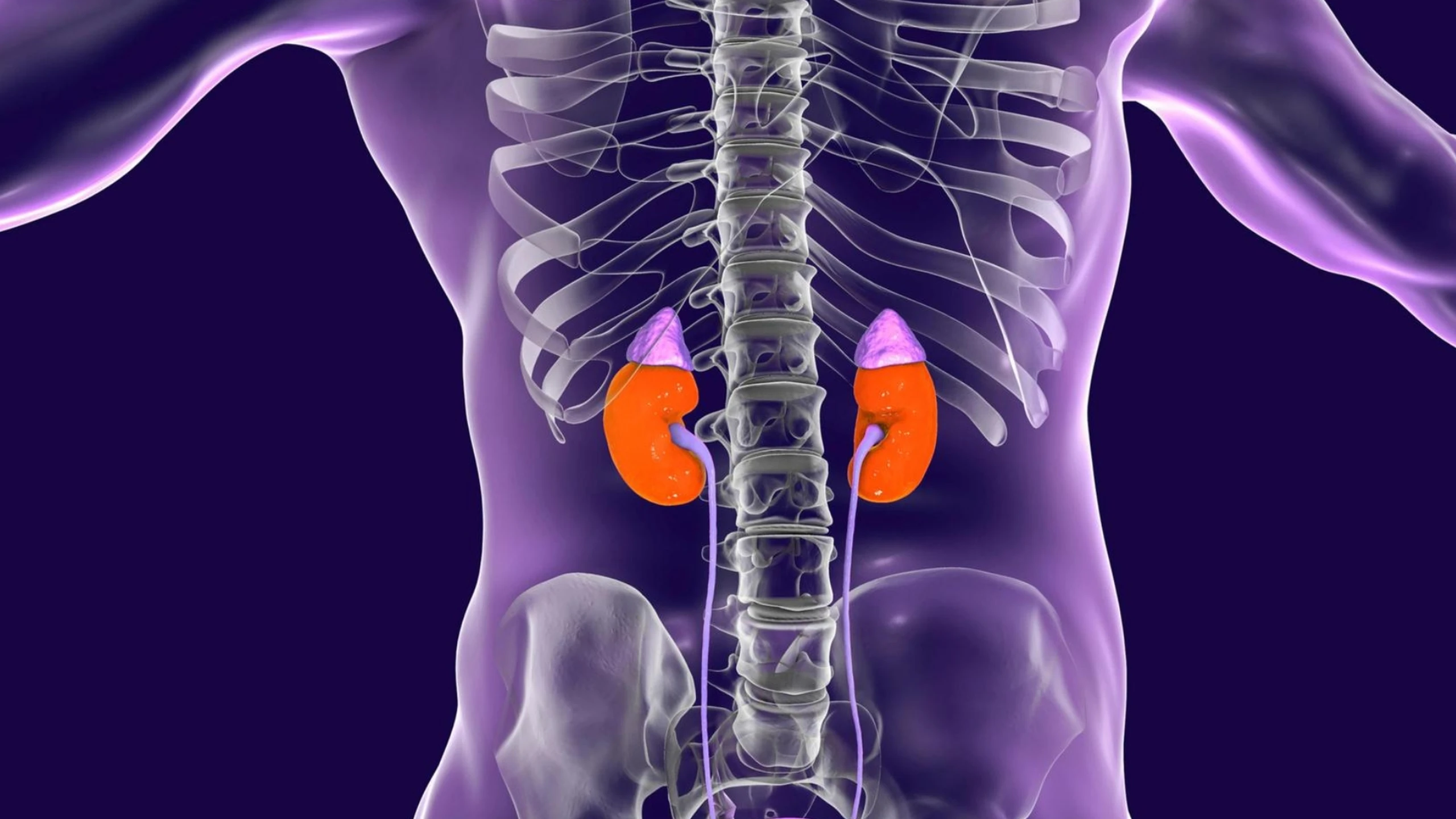 benh_a_z_suy_thuong_than_man_0_cda575cb9e