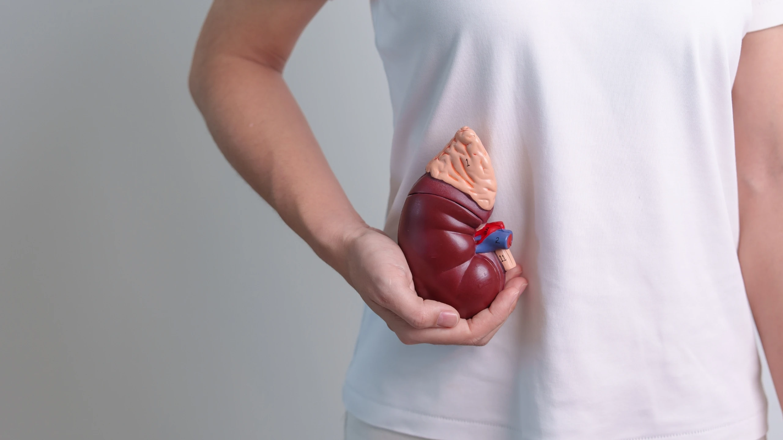 benh_a_z_suy_vo_thuong_than_0_10e30c2dc1