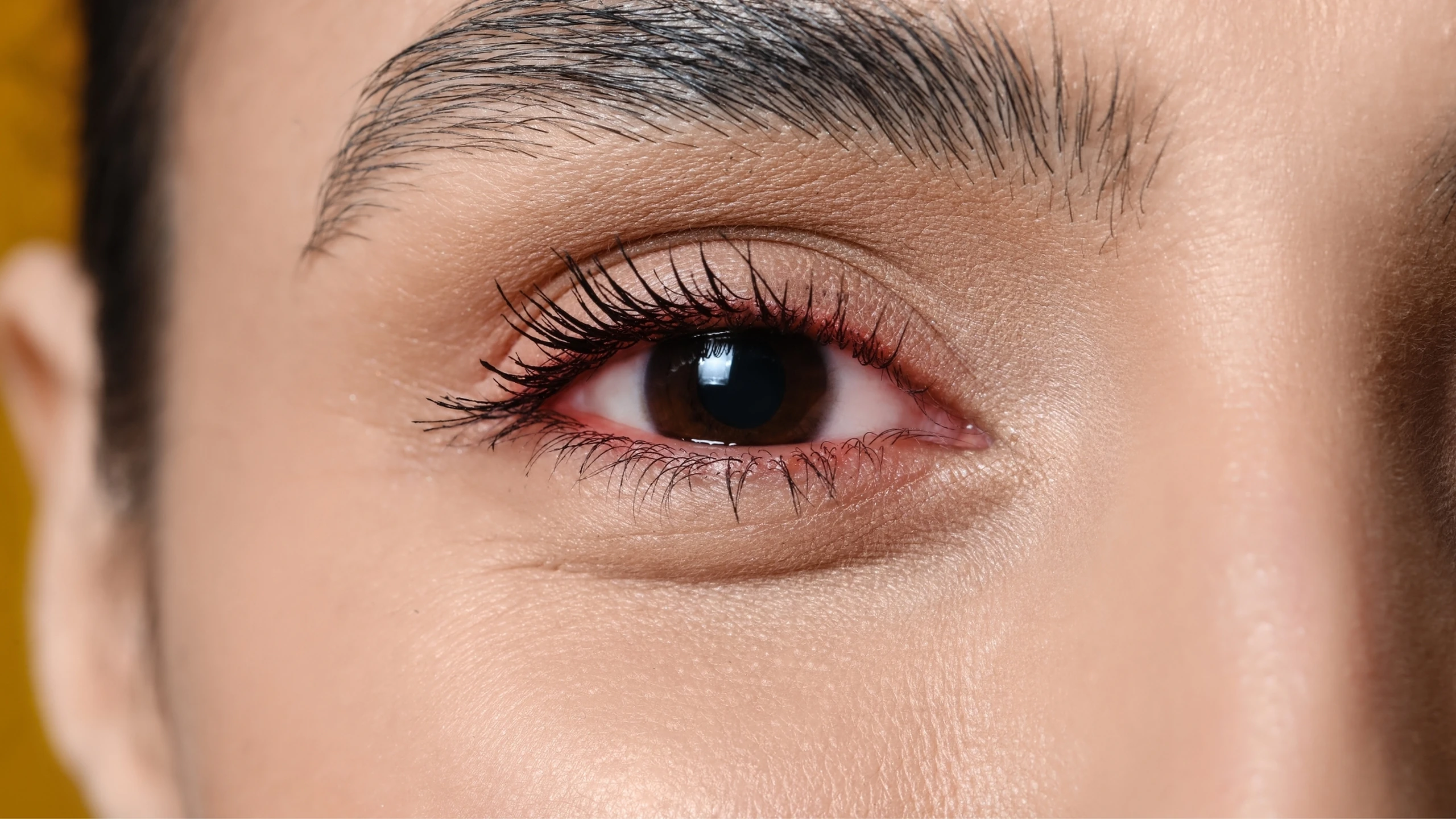 benh_a_z_viem_mang_bo_dao_sau_0_43576ce6cf