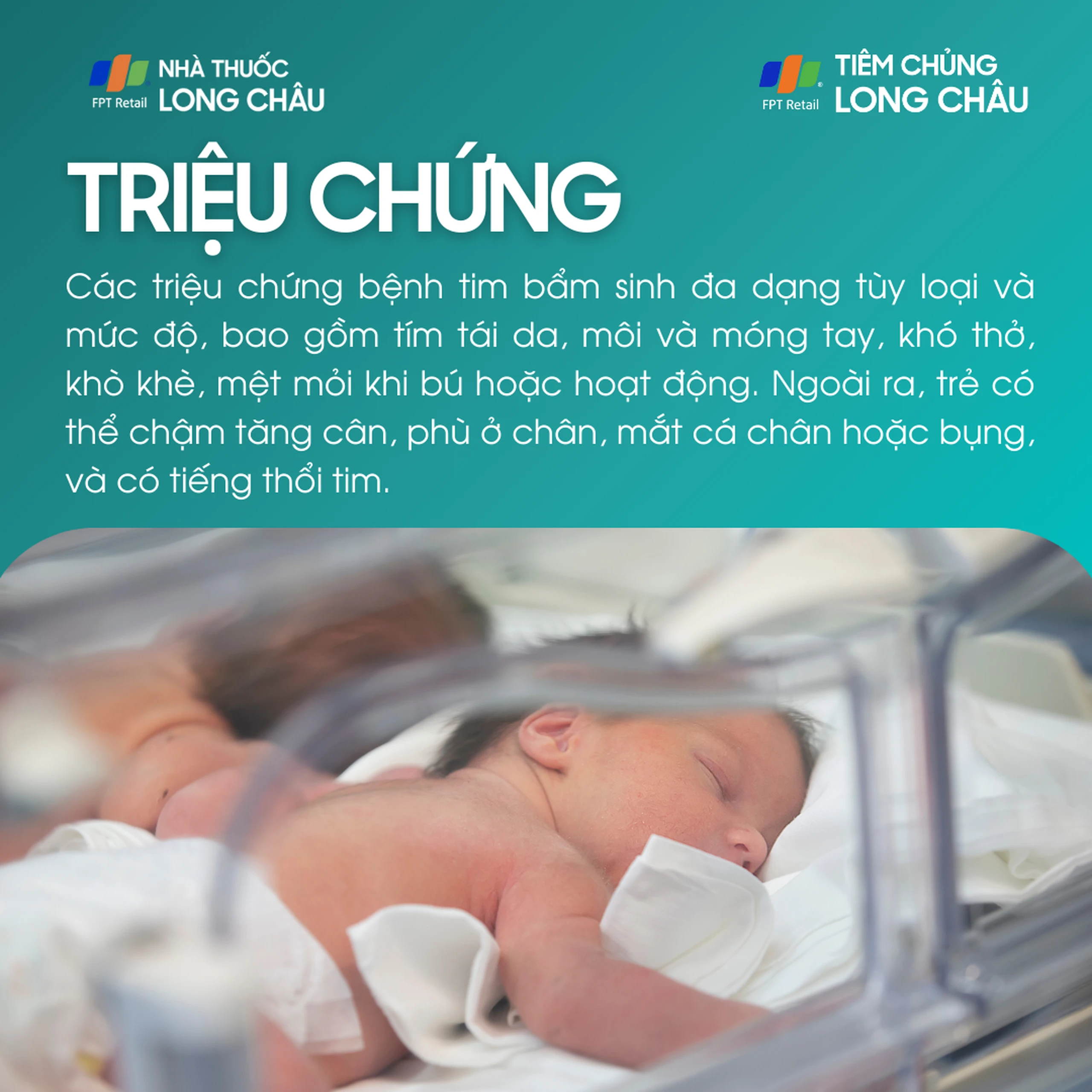 benh_tim_bam_sinh_2_66603f37d5