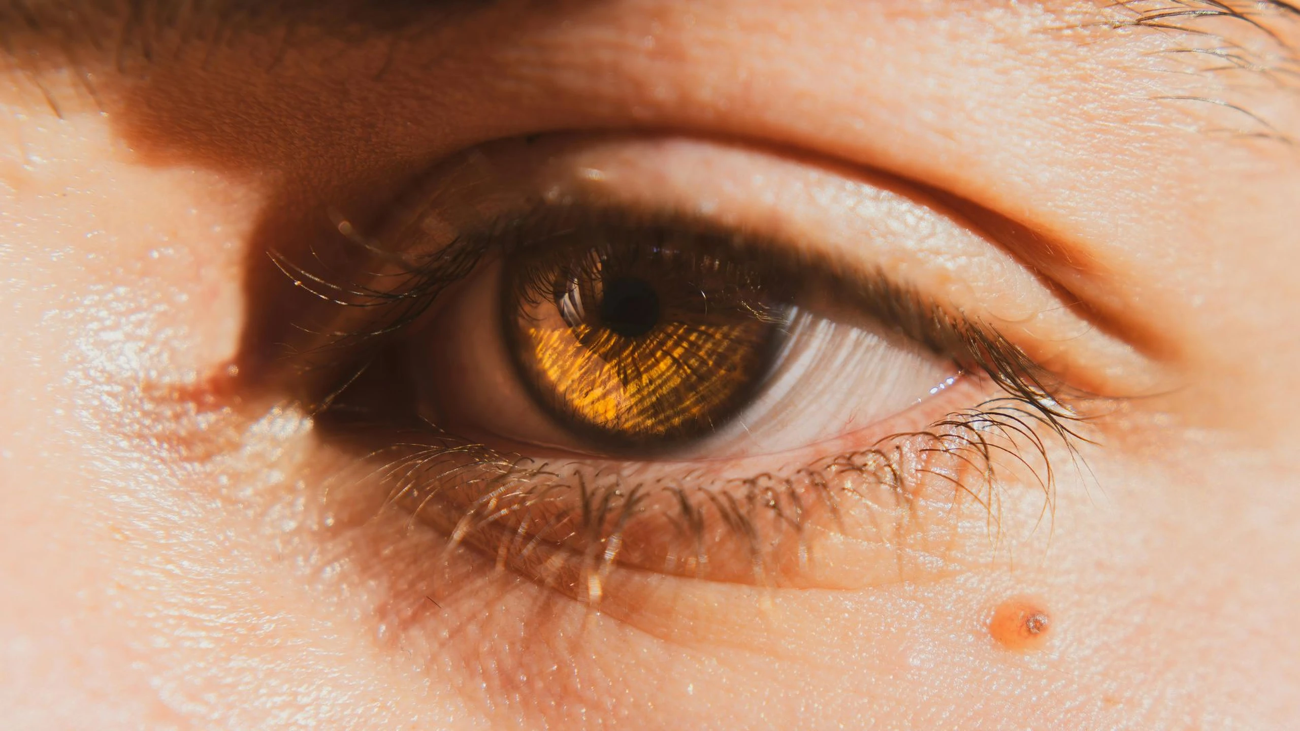 benh_vong_mac_do_tang_huyet_ap1_9c590f65d6