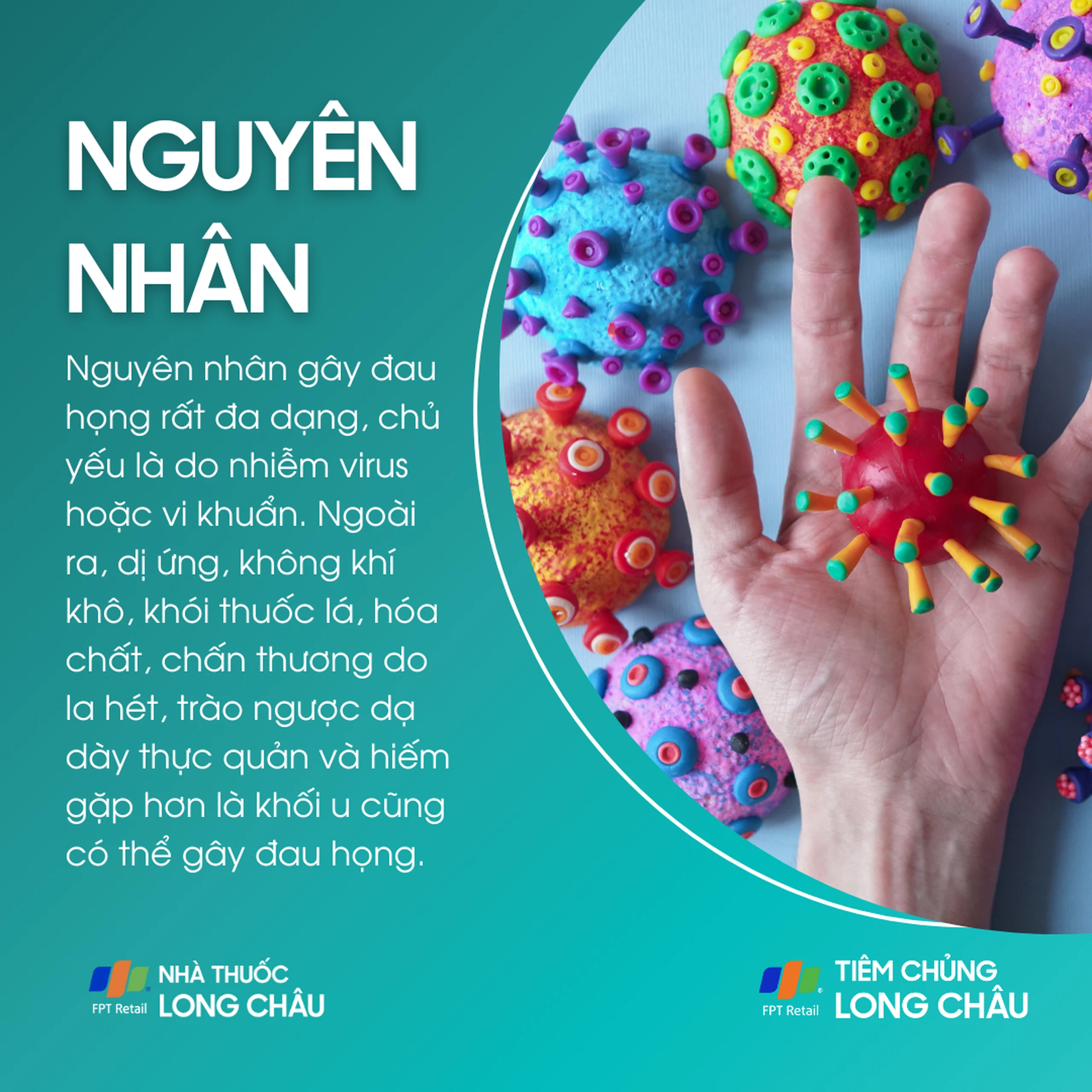 dau_hong_3_d4c8d0814e