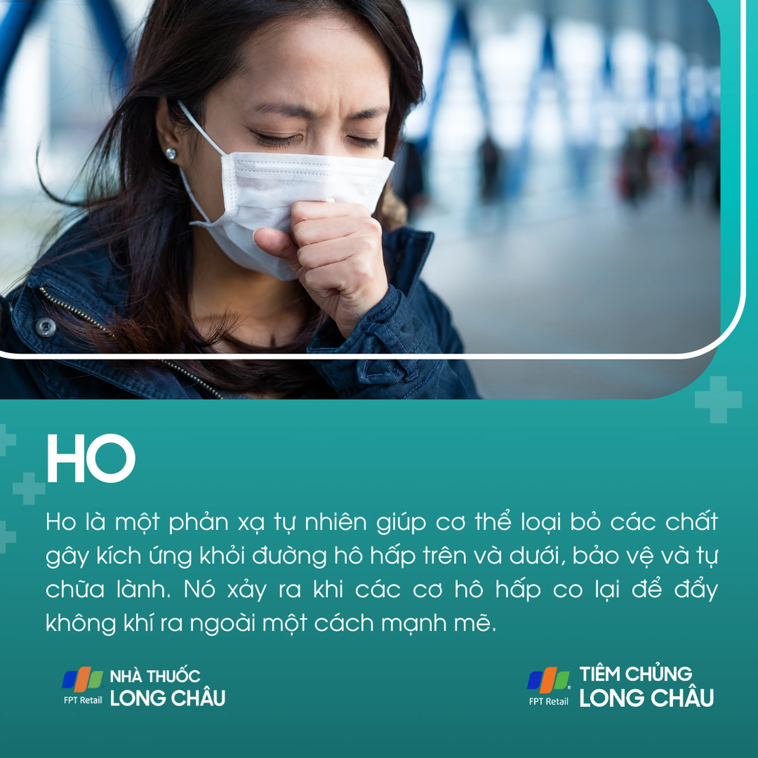 ho_1_e3d3b95253