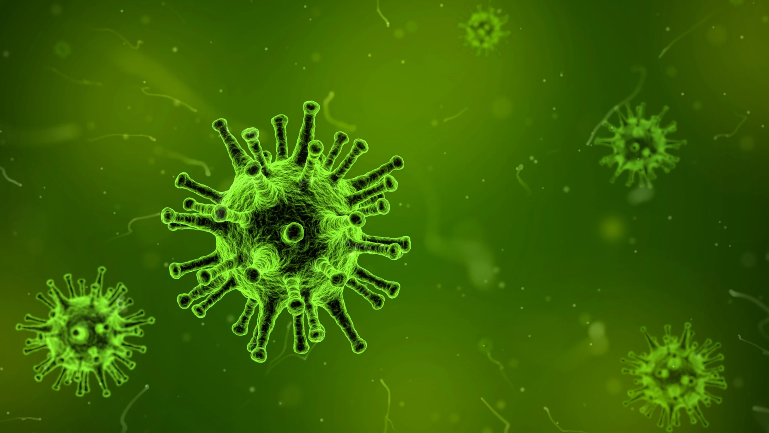 Hơn 100 người nhiễm Norovirus trên du thuyền: Virus này nguy hiểm thế nào?