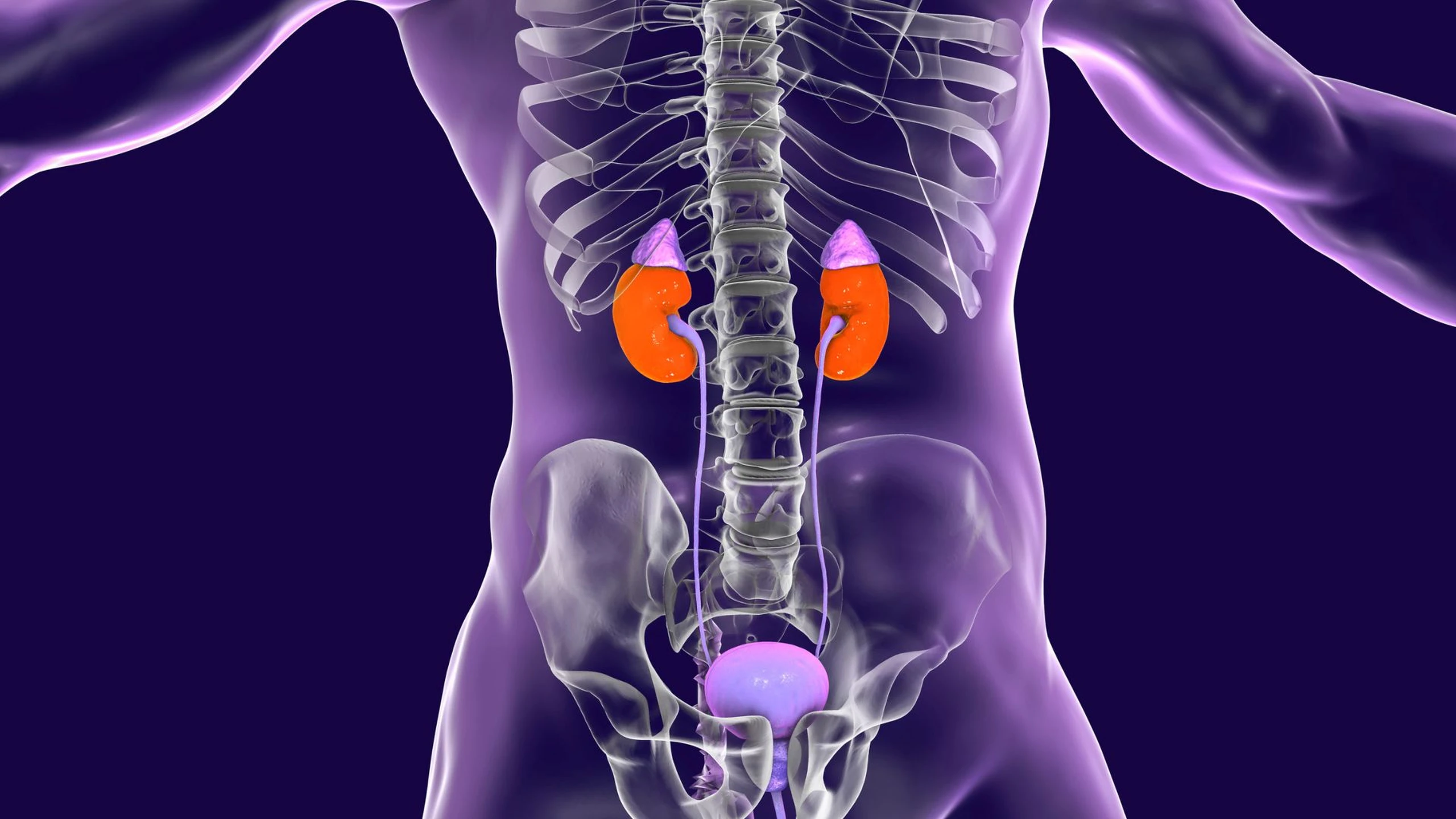 nieu_quan_gian_9fde1102d6