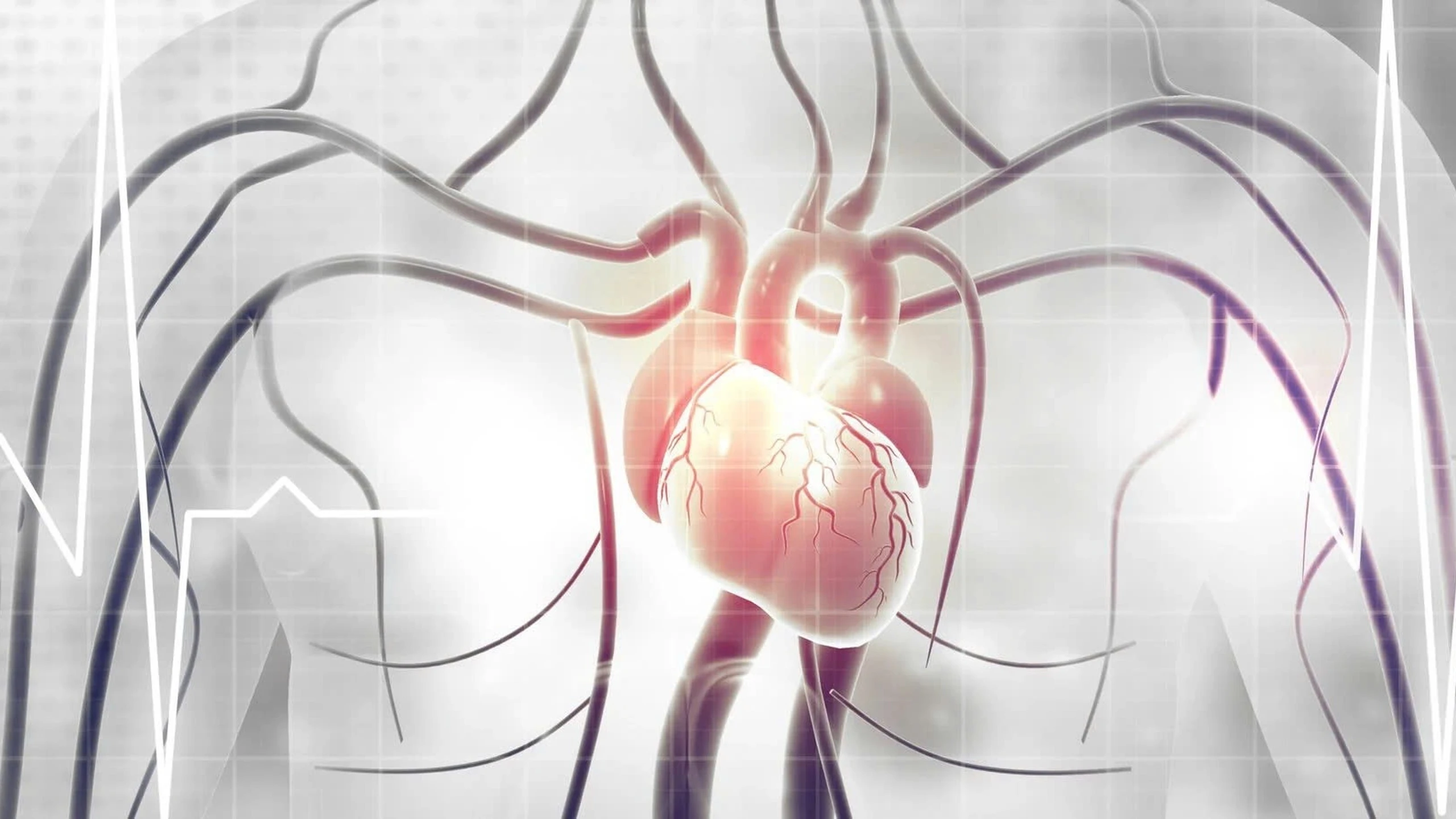 roi_loan_than_kinh_tim_la_gi_nguyen_nhan_trieu_chung_va_cach_phong_ngua_1_351d12441f