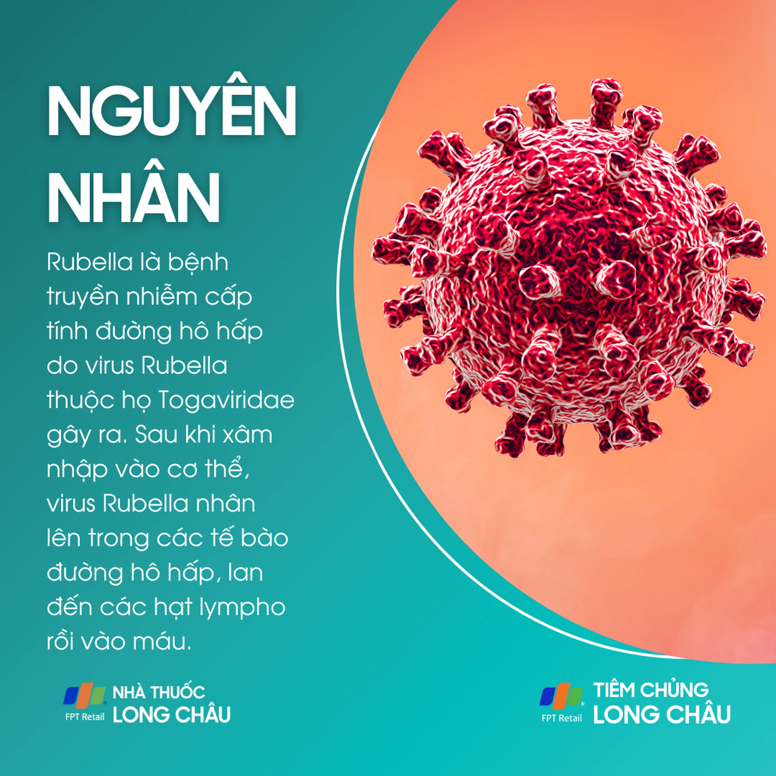 rubella_3_cd4add632a