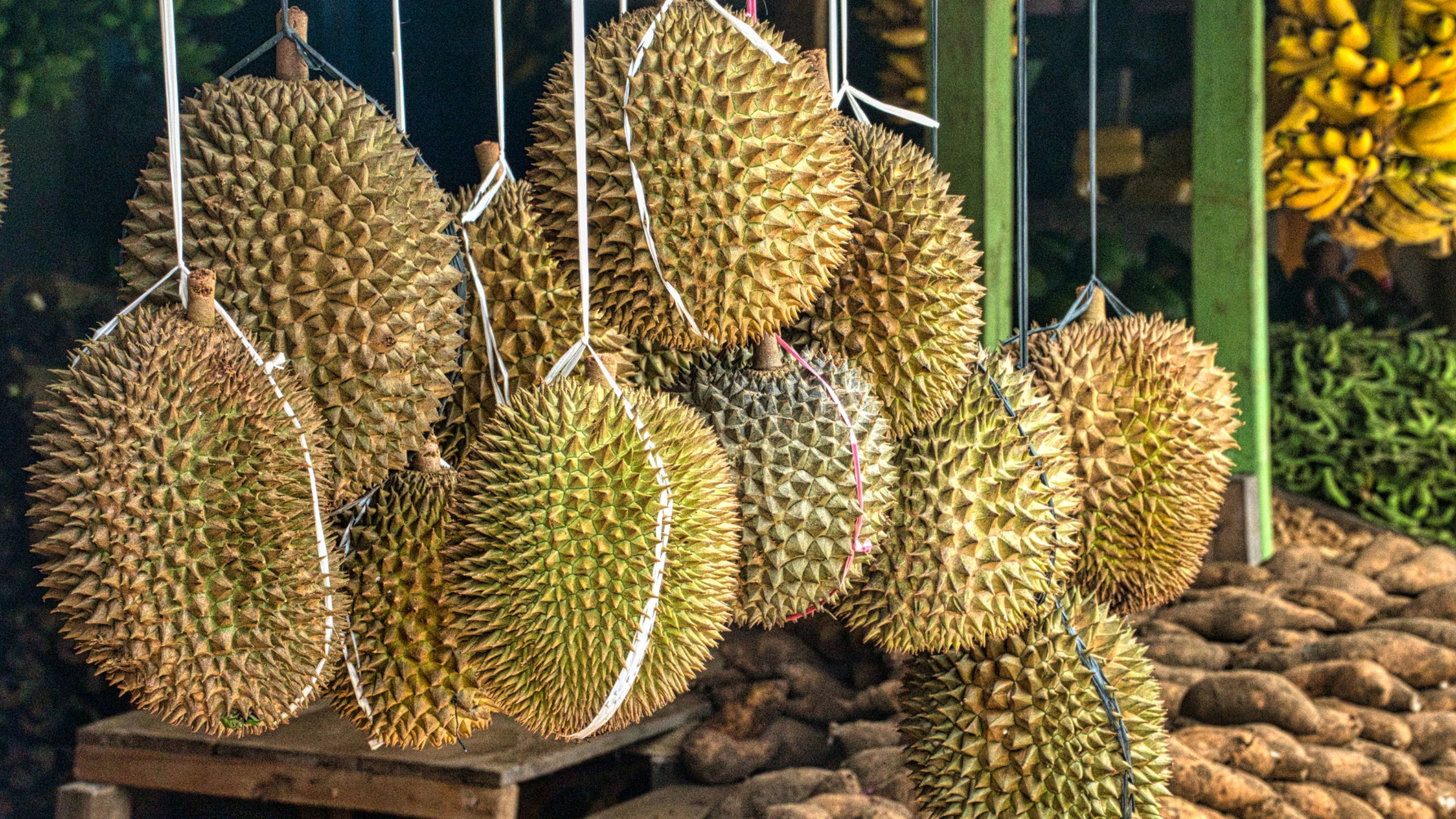 Sầu riêng nhiễm cadimi: Nguyên nhân, mức độ nguy hiểm