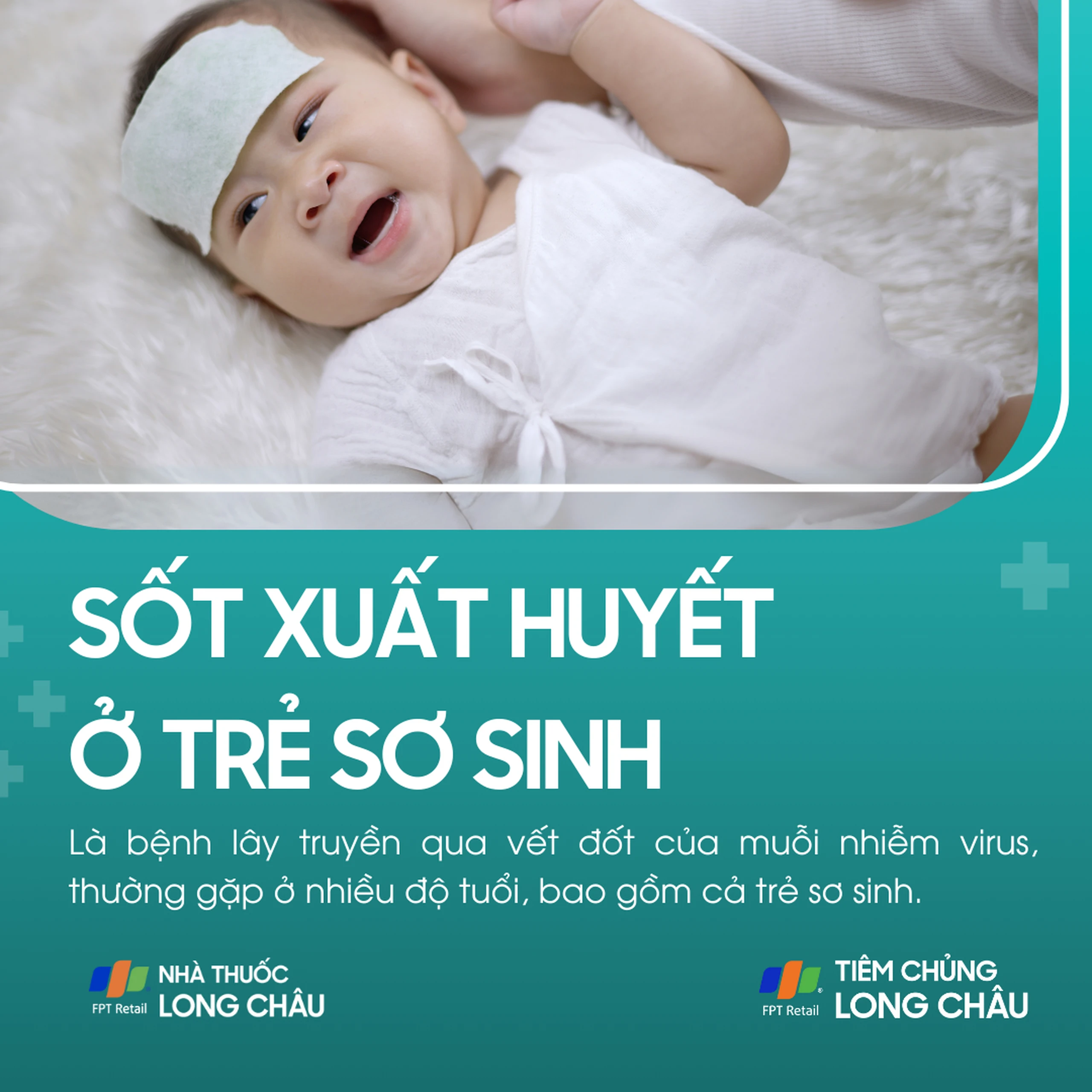 sot_xuat_huyet_o_tre_so_sinh_1_21e2f62880
