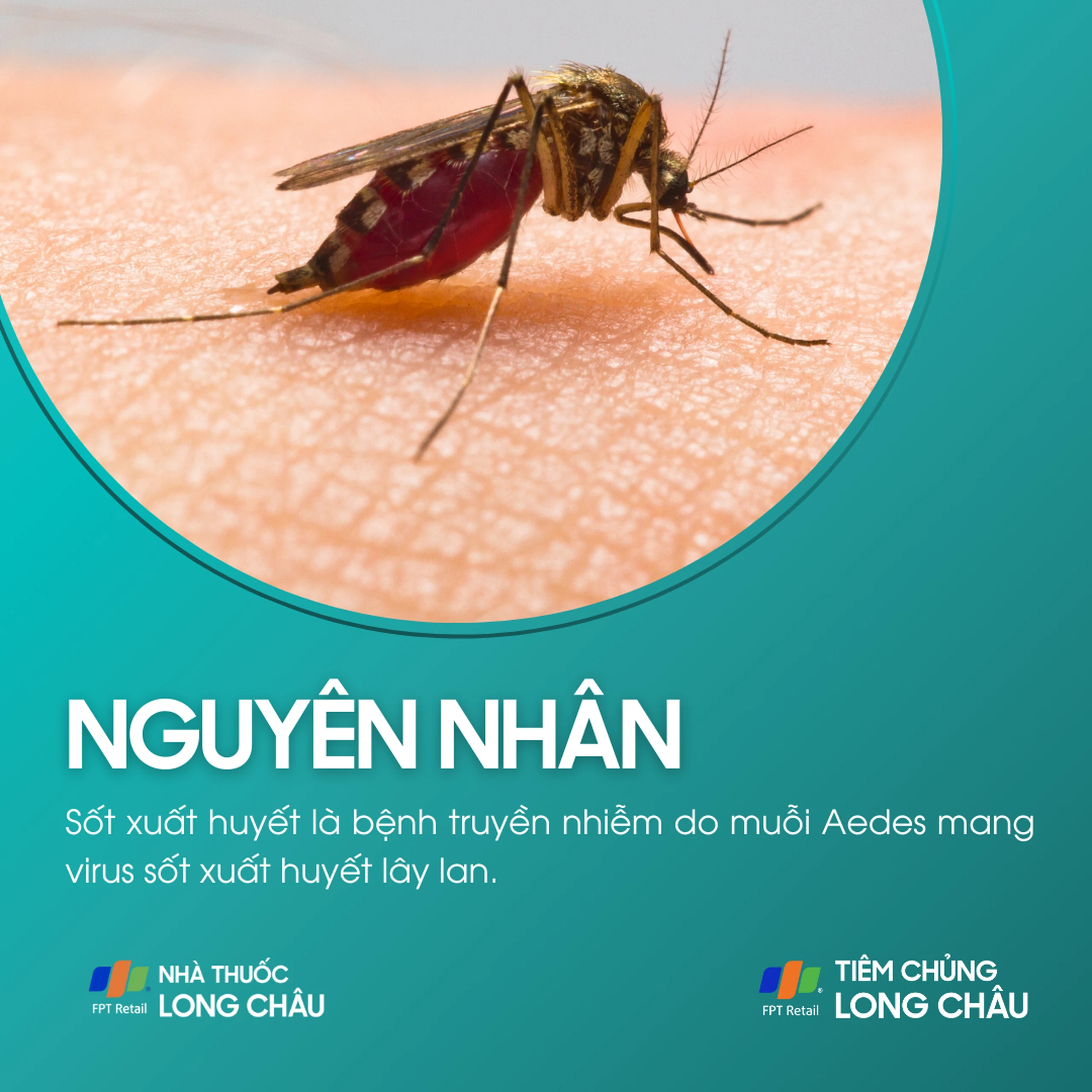 sot_xuat_huyet_o_tre_so_sinh_3_101f2adf13