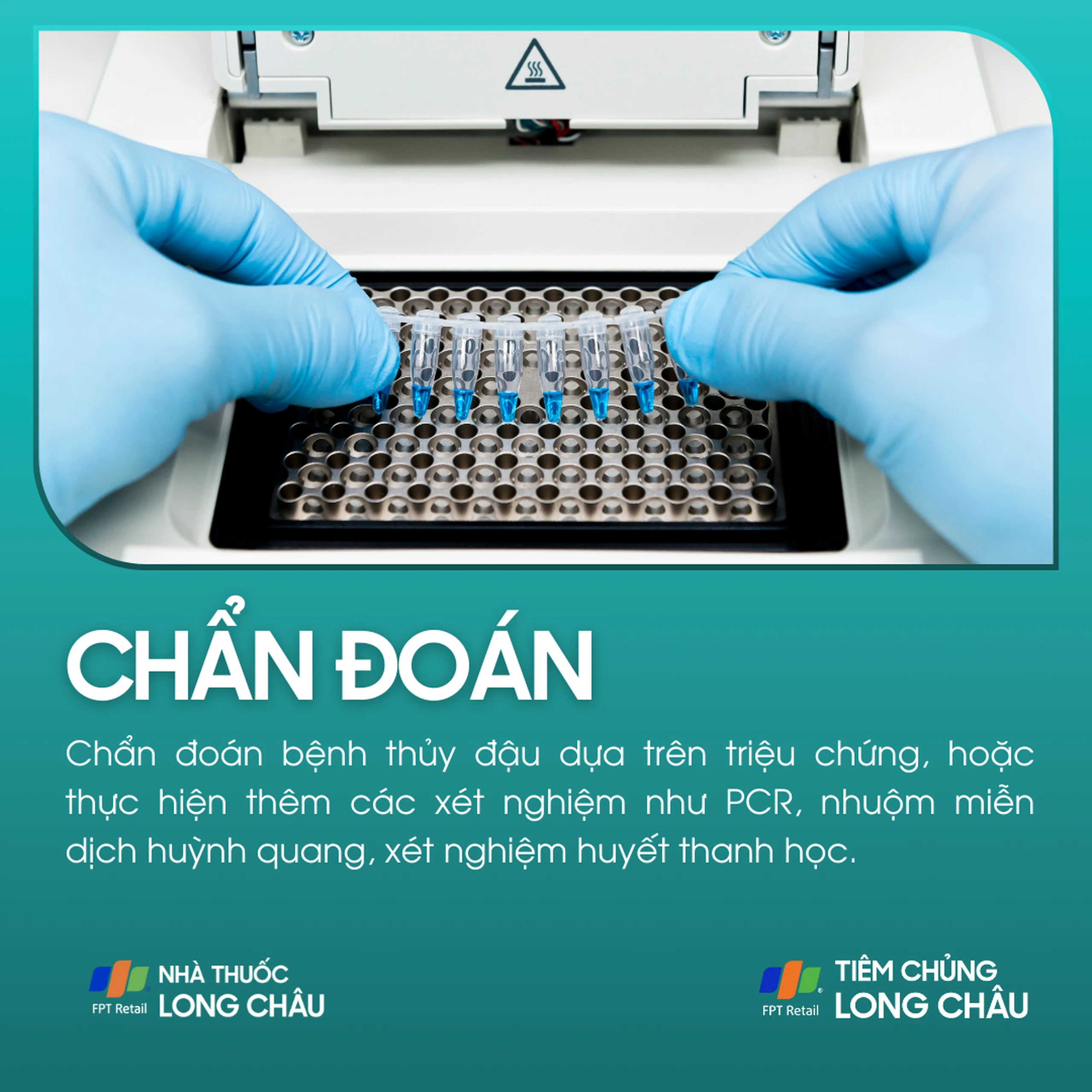 thuy_dau_5_fb68cf587d