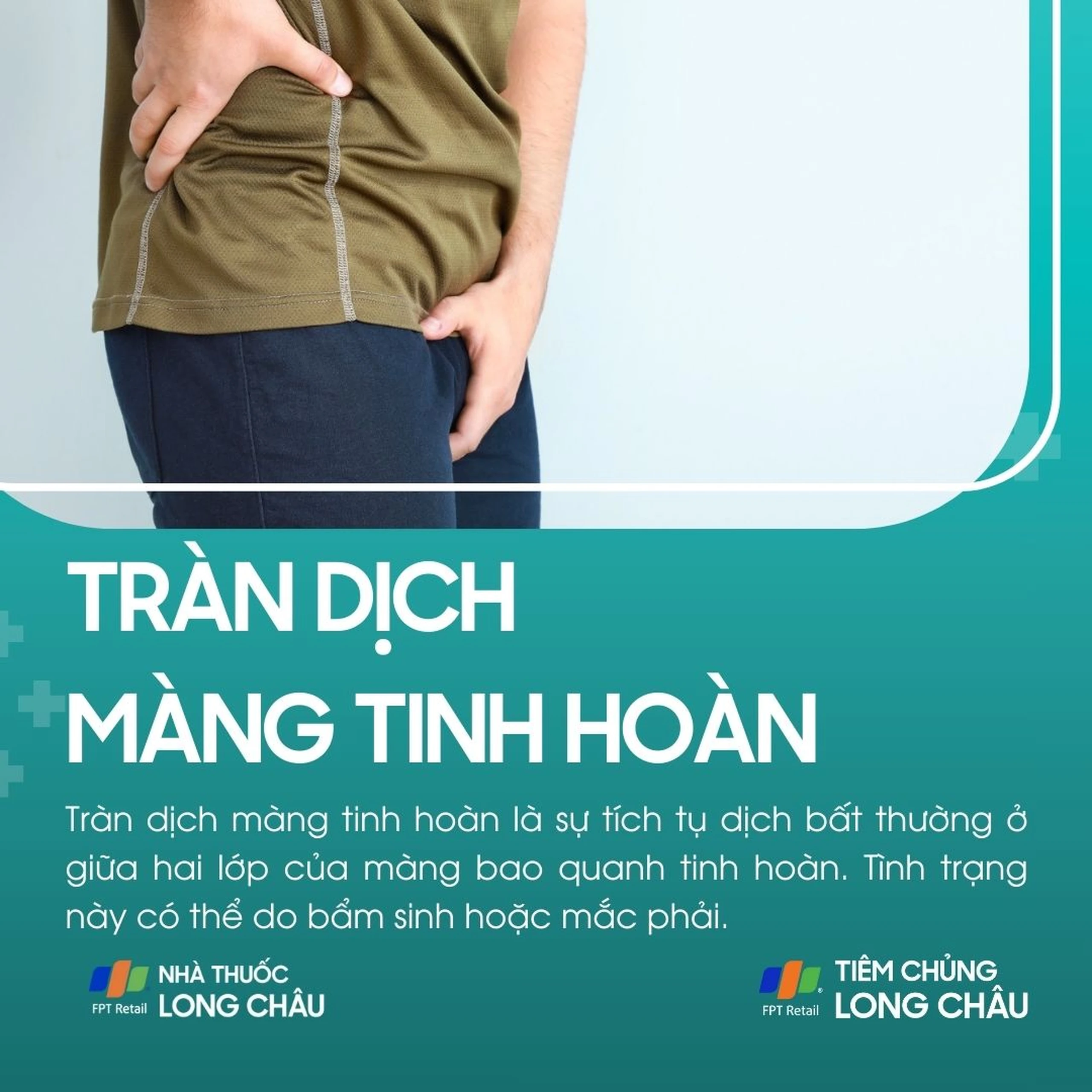 tran_dich_mang_tinh_hoan_1_77b11c7904